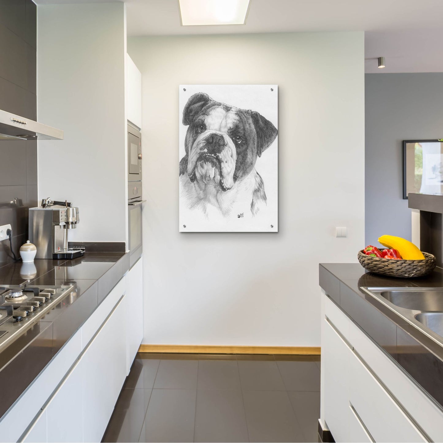 Epic Art 'American Bulldog' by Barbara Keith, Acrylic Glass Wall Art,24x36