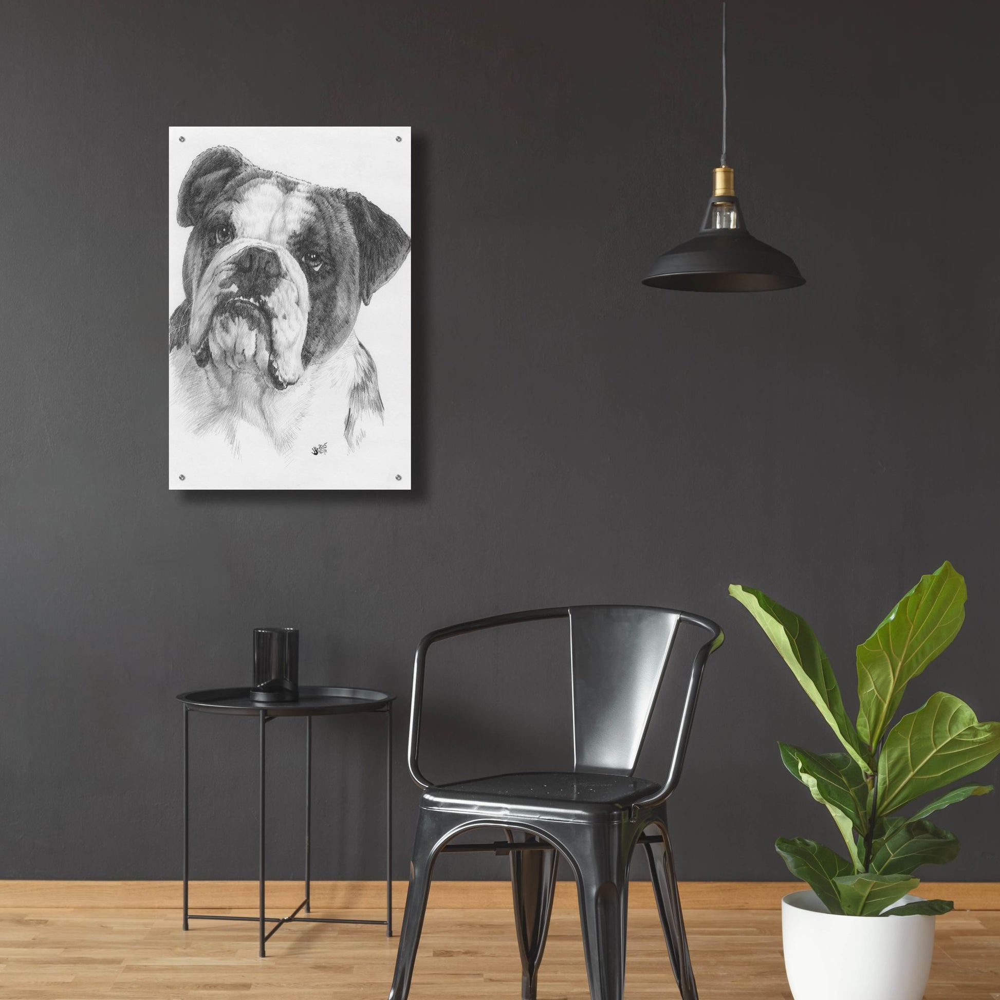 Epic Art 'American Bulldog' by Barbara Keith, Acrylic Glass Wall Art,24x36