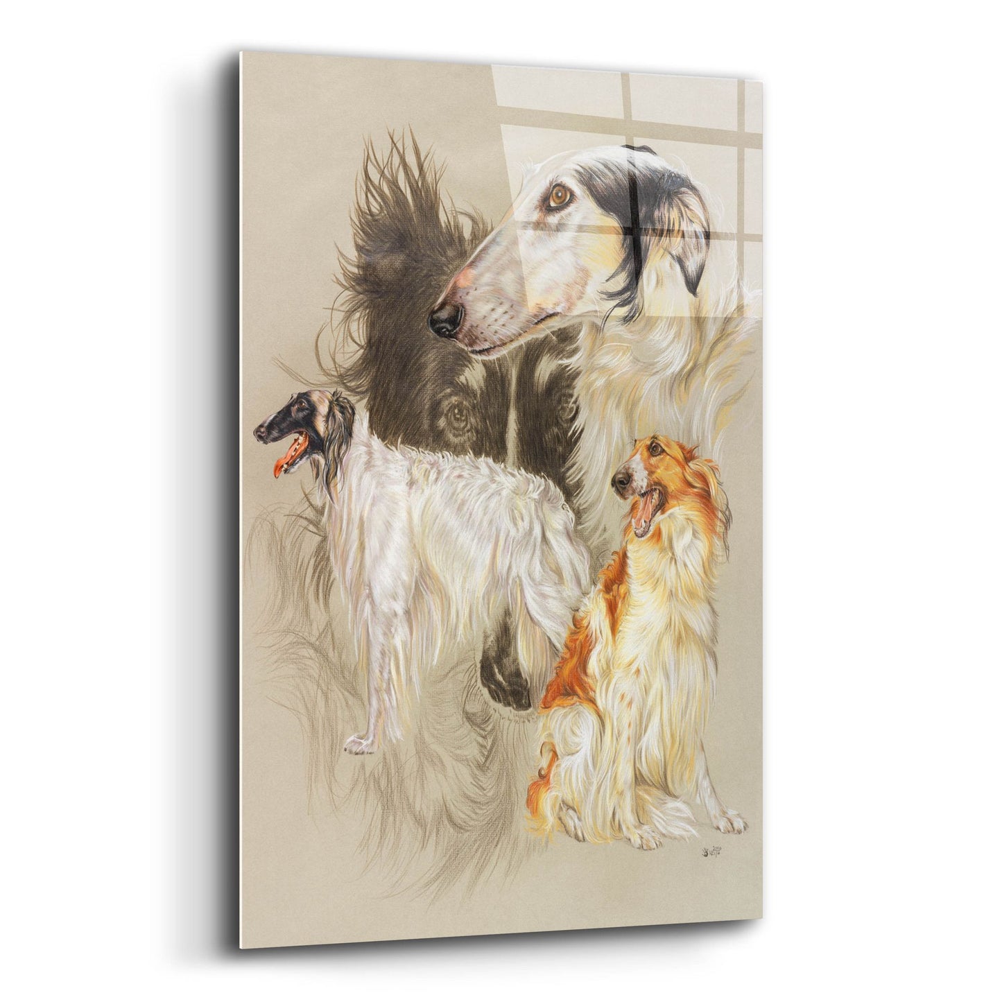 Epic Art 'Borzoi 2' by Barbara Keith, Acrylic Glass Wall Art,12x16