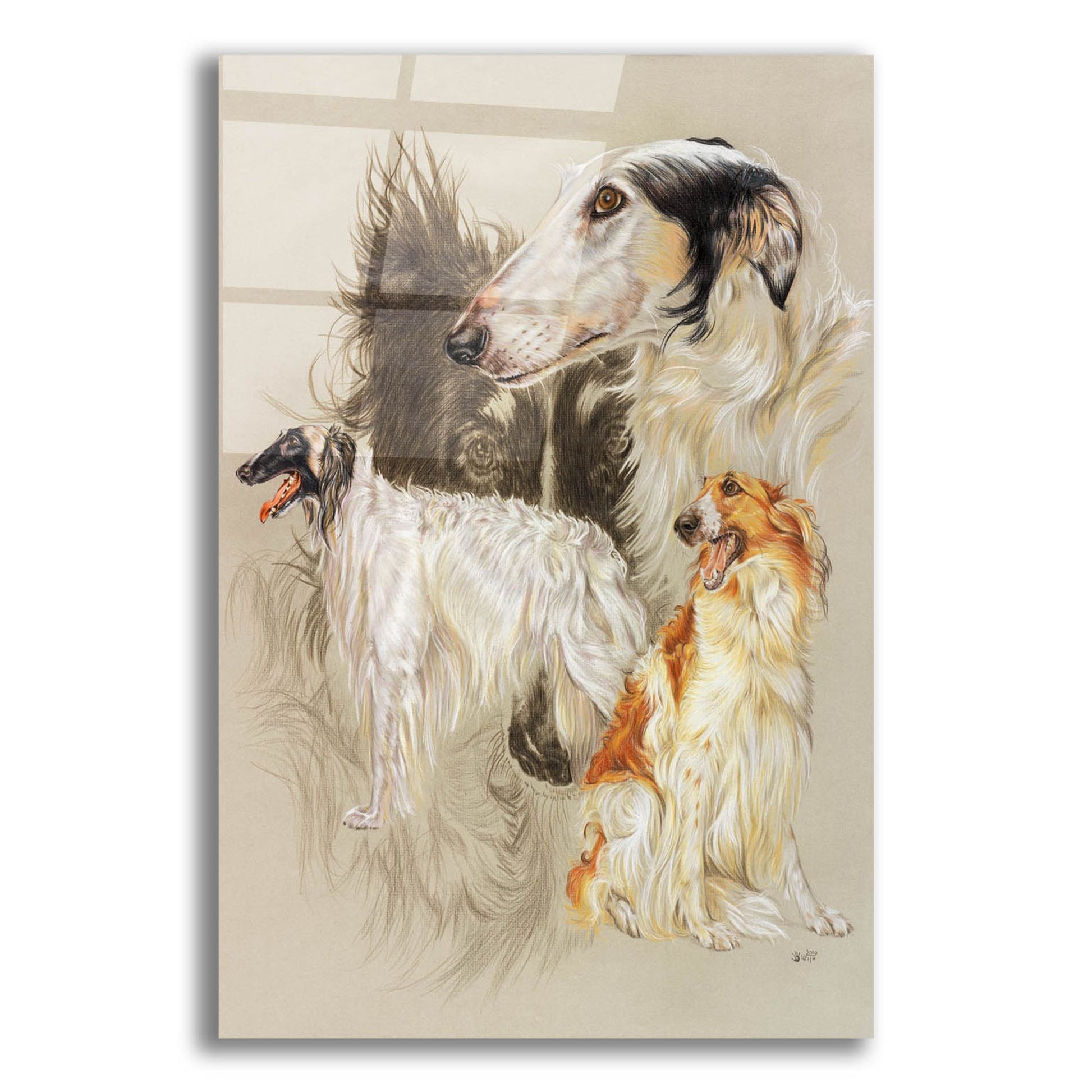 Epic Art 'Borzoi 2' by Barbara Keith, Acrylic Glass Wall Art,12x16