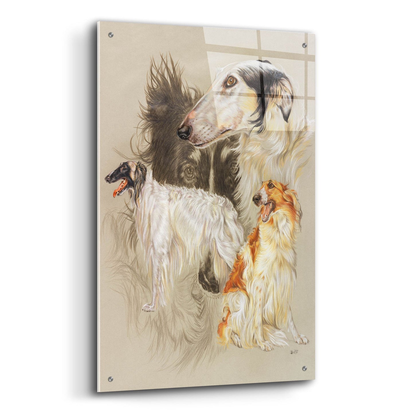 Epic Art 'Borzoi 2' by Barbara Keith, Acrylic Glass Wall Art,24x36