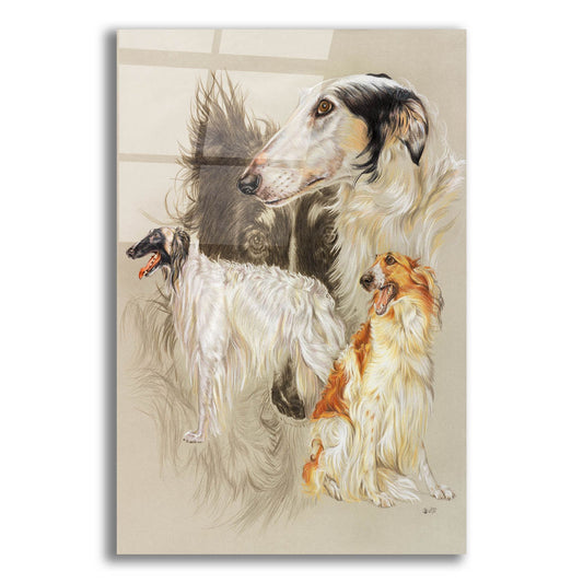 Epic Art 'Borzoi 2' by Barbara Keith, Acrylic Glass Wall Art