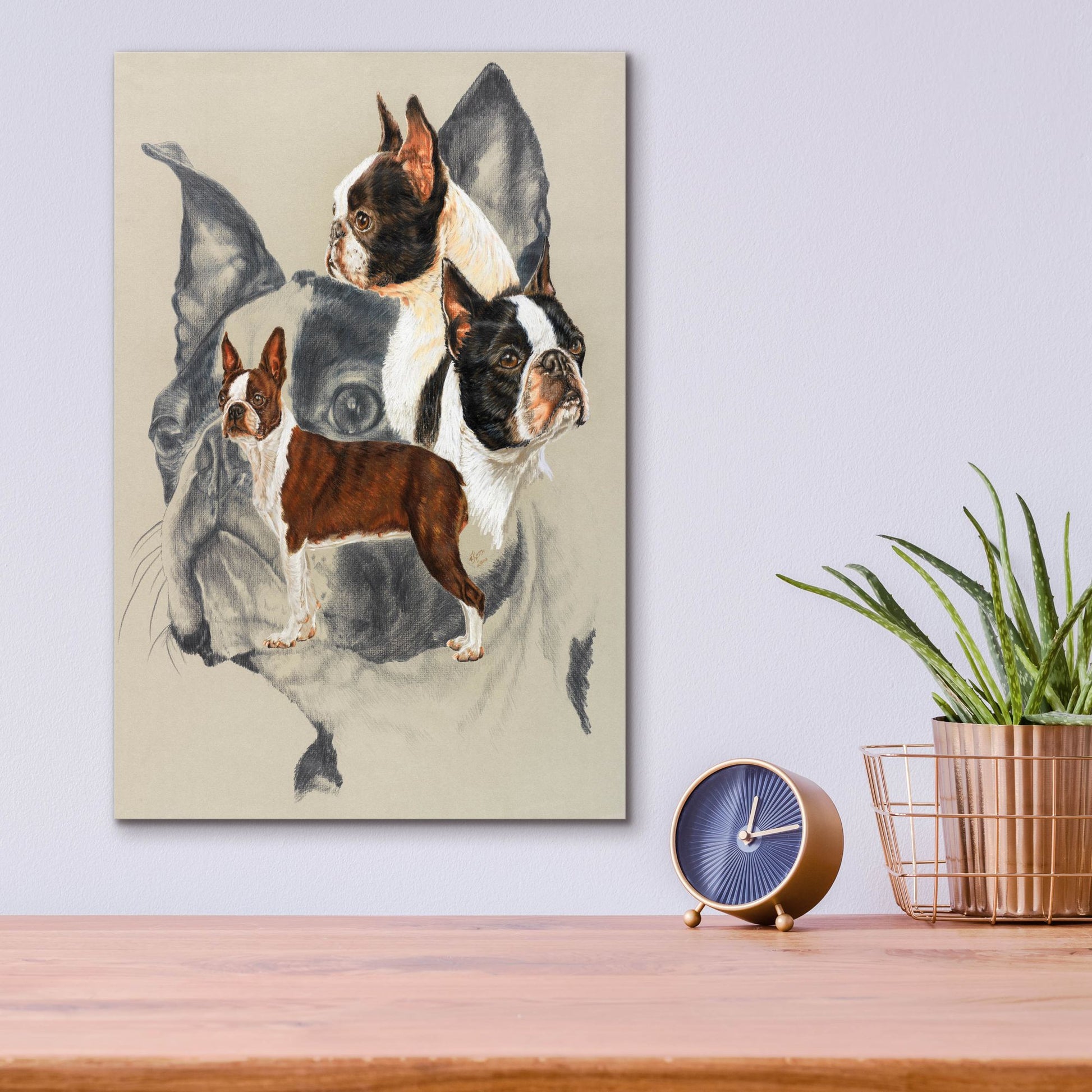 Epic Art 'Boston Terrier 2' by Barbara Keith, Acrylic Glass Wall Art,12x16