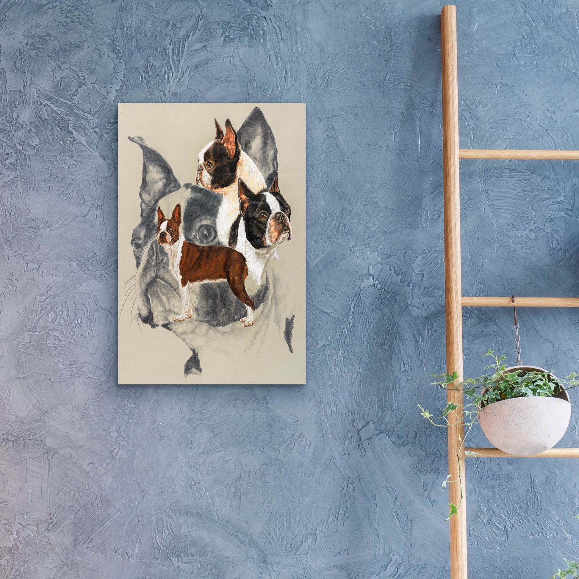 Epic Art 'Boston Terrier 2' by Barbara Keith, Acrylic Glass Wall Art,16x24