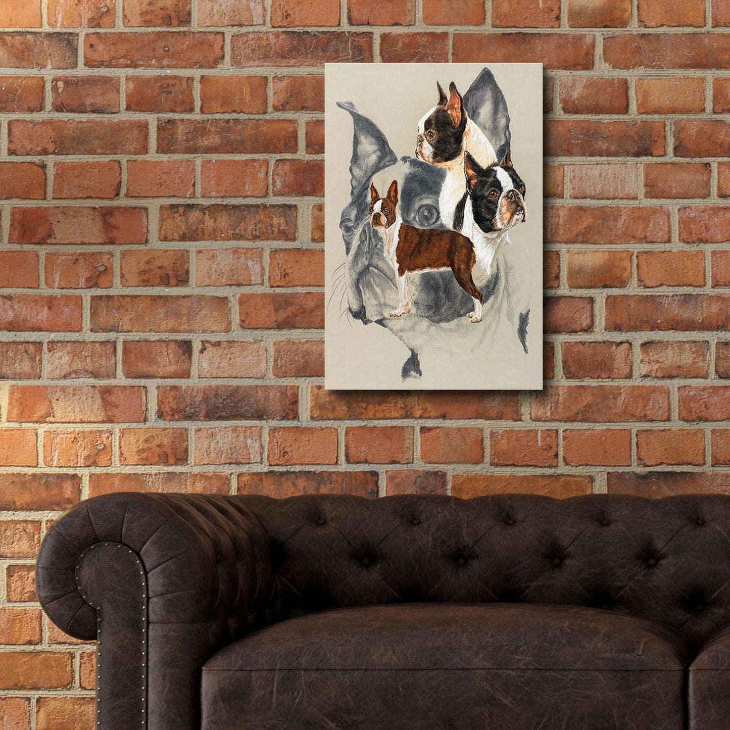 Epic Art 'Boston Terrier 2' by Barbara Keith, Acrylic Glass Wall Art,16x24