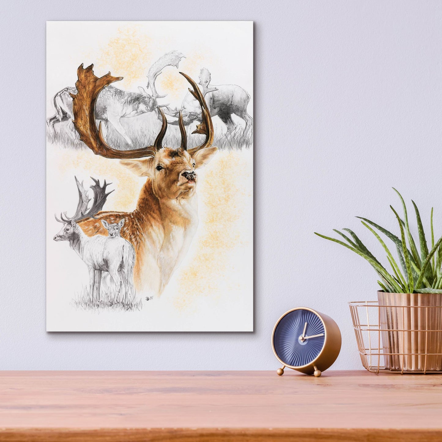 Epic Art 'Fallow Deer' by Barbara Keith, Acrylic Glass Wall Art,12x16