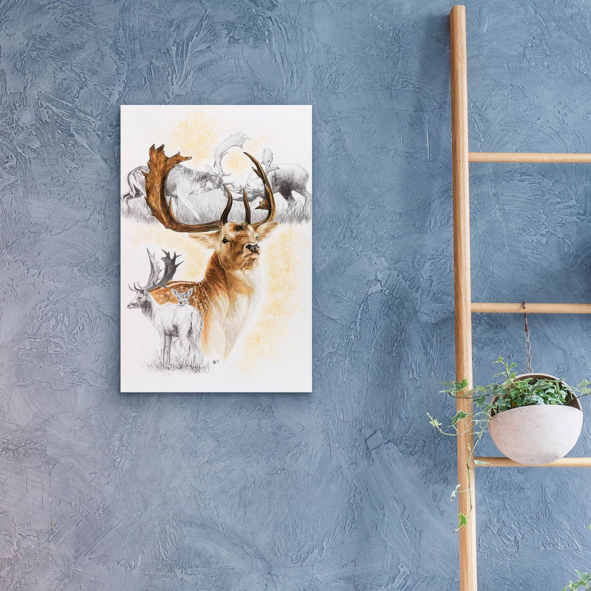 Fallow Deer by Barbara Keith - 16x24 acrylic wall art in a room