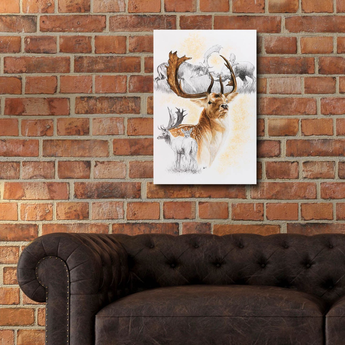 Epic Art 'Fallow Deer' by Barbara Keith, Acrylic Glass Wall Art,16x24