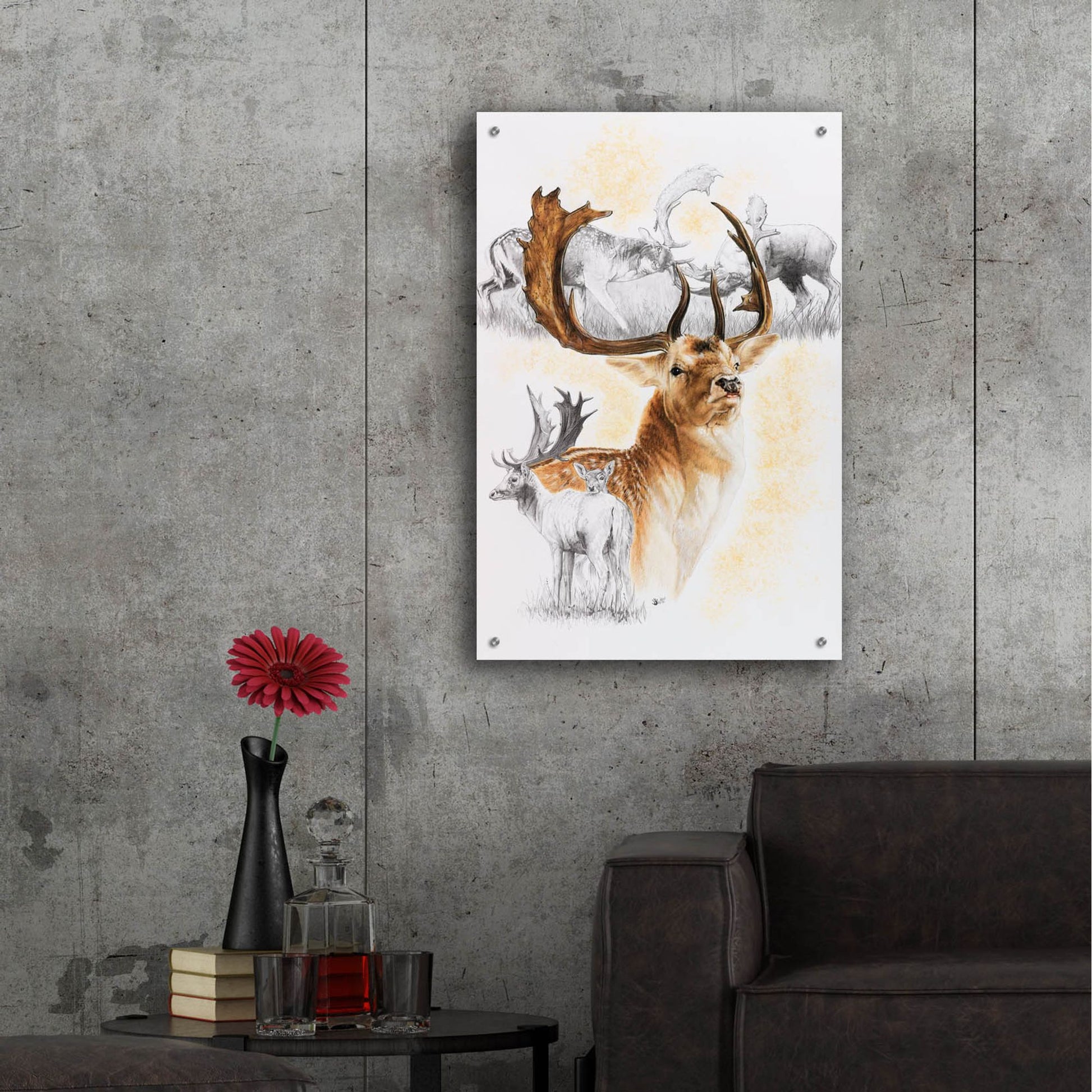 Epic Art 'Fallow Deer' by Barbara Keith, Acrylic Glass Wall Art,24x36