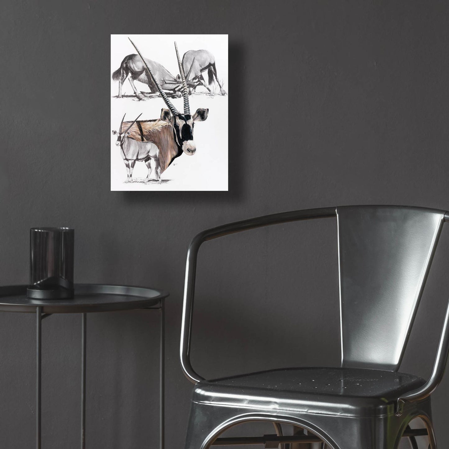 Epic Art 'Gemsbok' by Barbara Keith, Acrylic Glass Wall Art,12x16