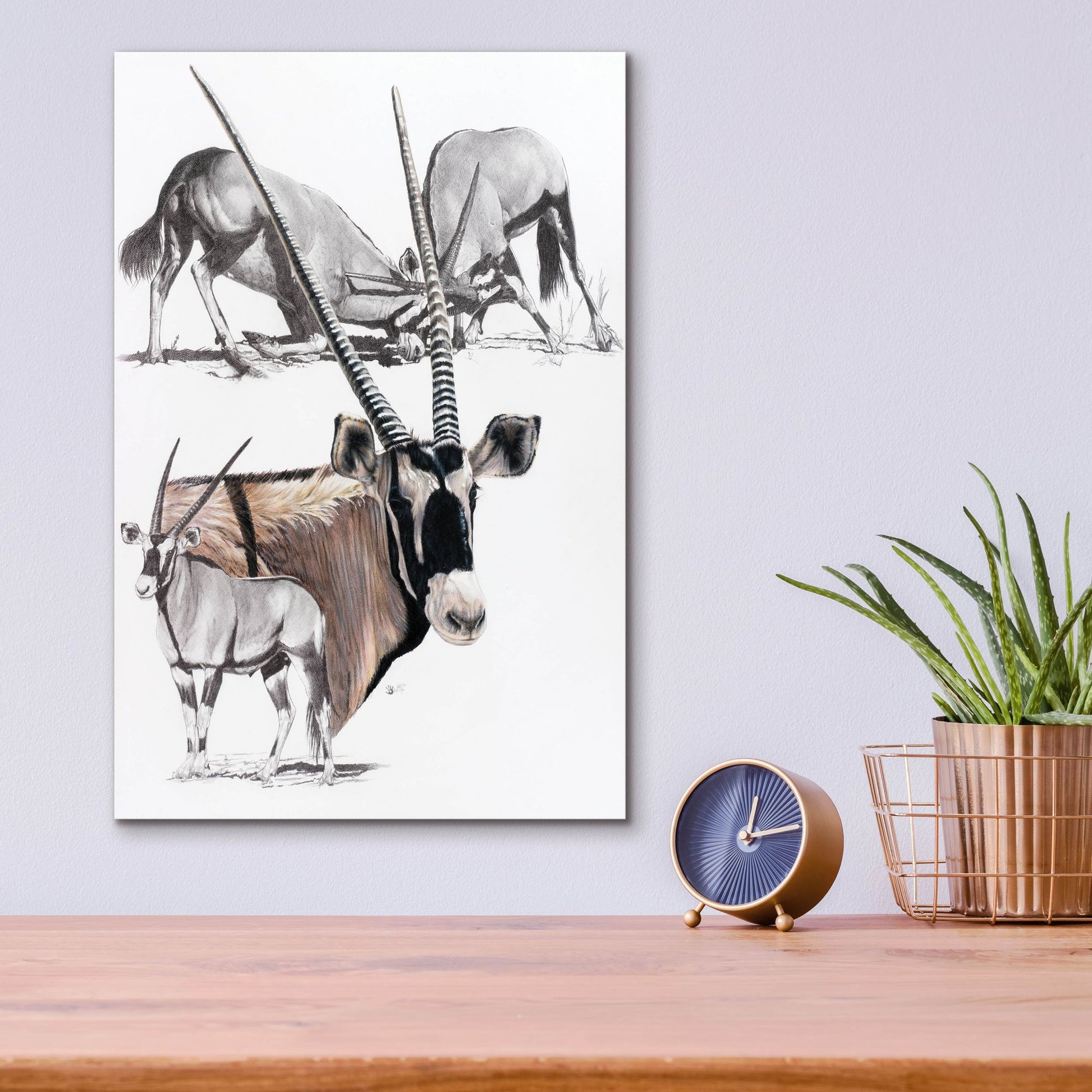 Epic Art 'Gemsbok' by Barbara Keith, Acrylic Glass Wall Art,12x16