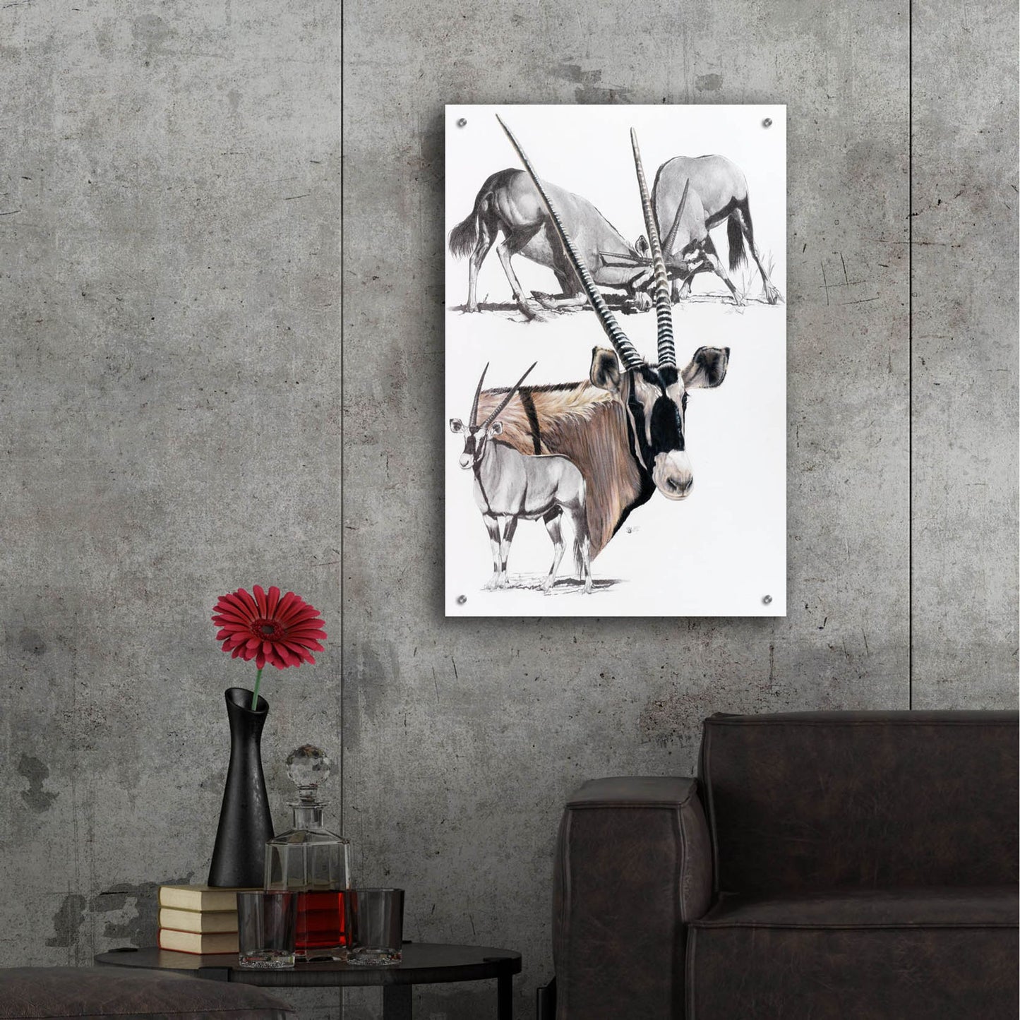 Epic Art 'Gemsbok' by Barbara Keith, Acrylic Glass Wall Art,24x36