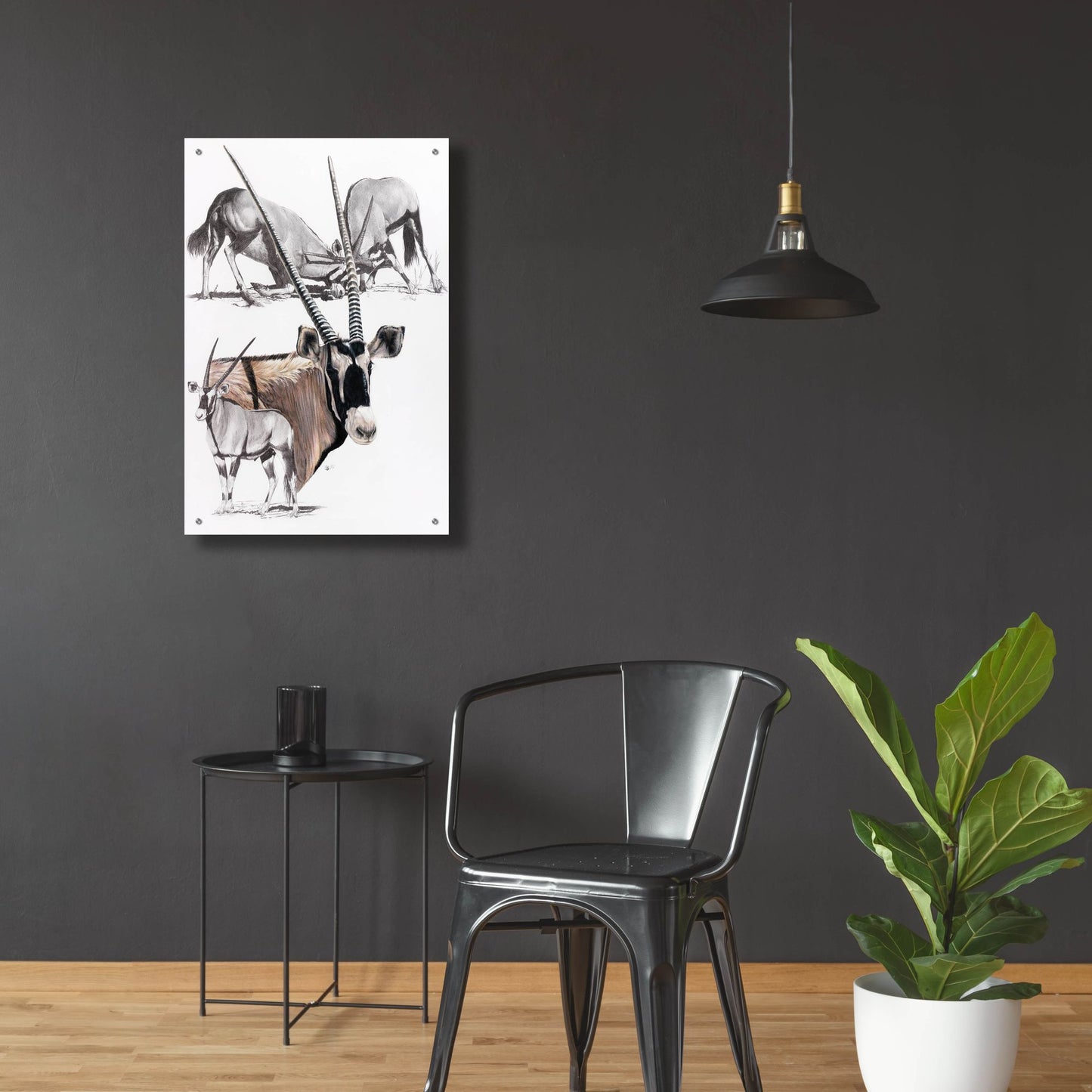 Epic Art 'Gemsbok' by Barbara Keith, Acrylic Glass Wall Art,24x36