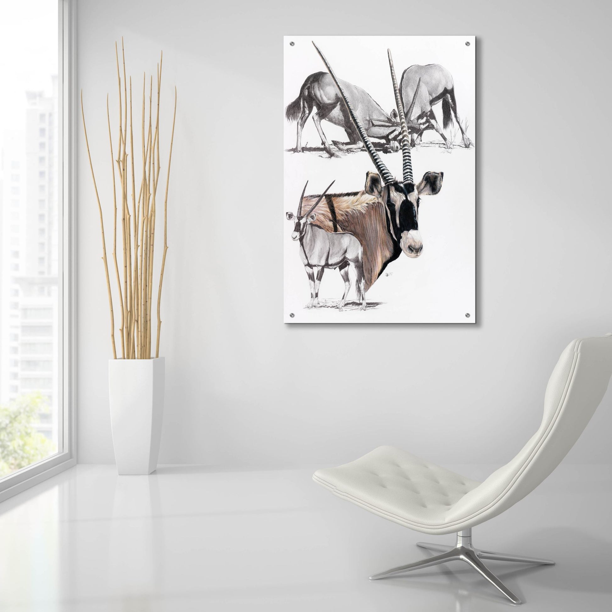 Epic Art 'Gemsbok' by Barbara Keith, Acrylic Glass Wall Art,24x36