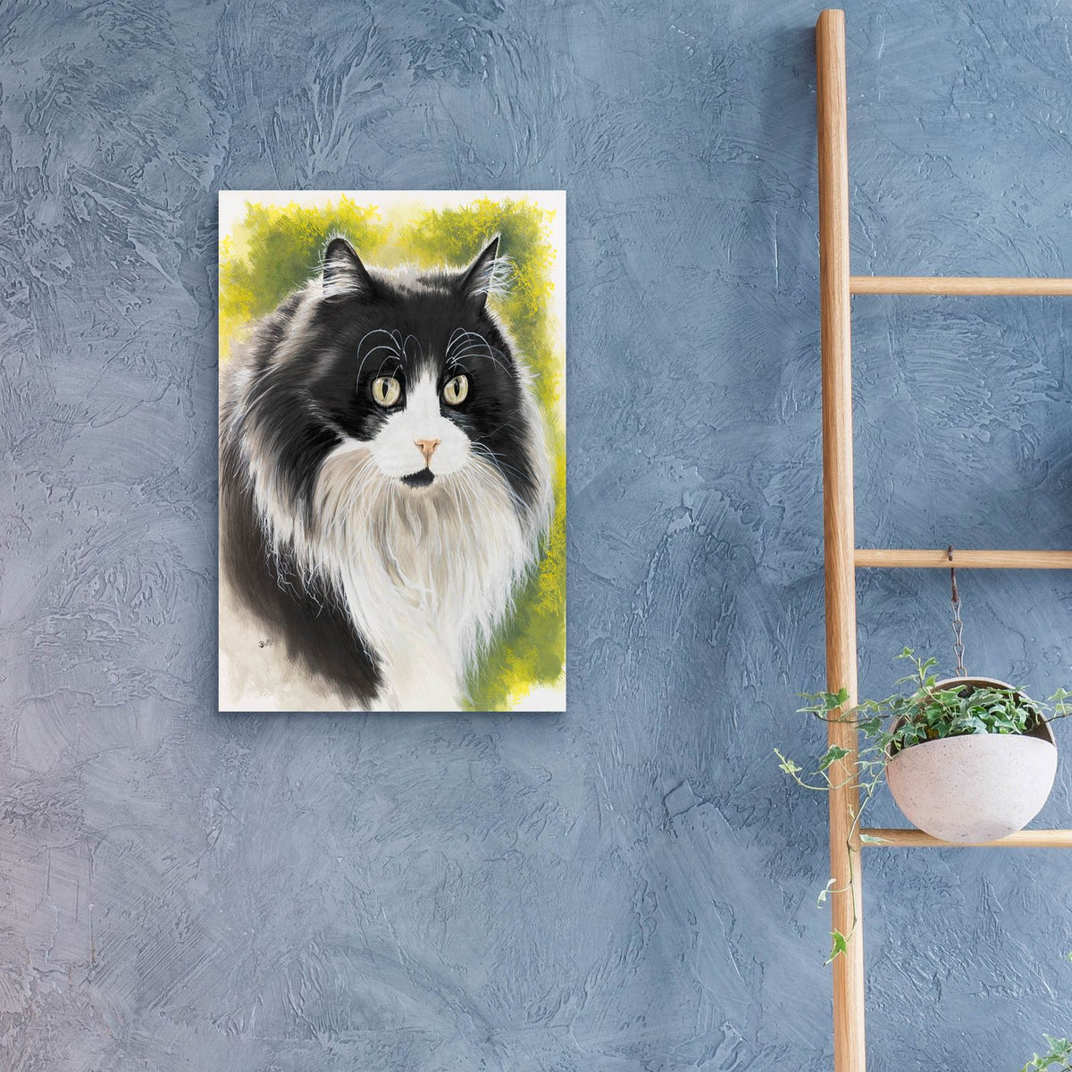 Maine Coon 2 by Barbara Keith - 16x24 acrylic wall art in a room
