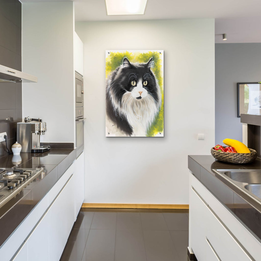 Maine Coon 2 by Barbara Keith - 24x36 acrylic wall art in a room