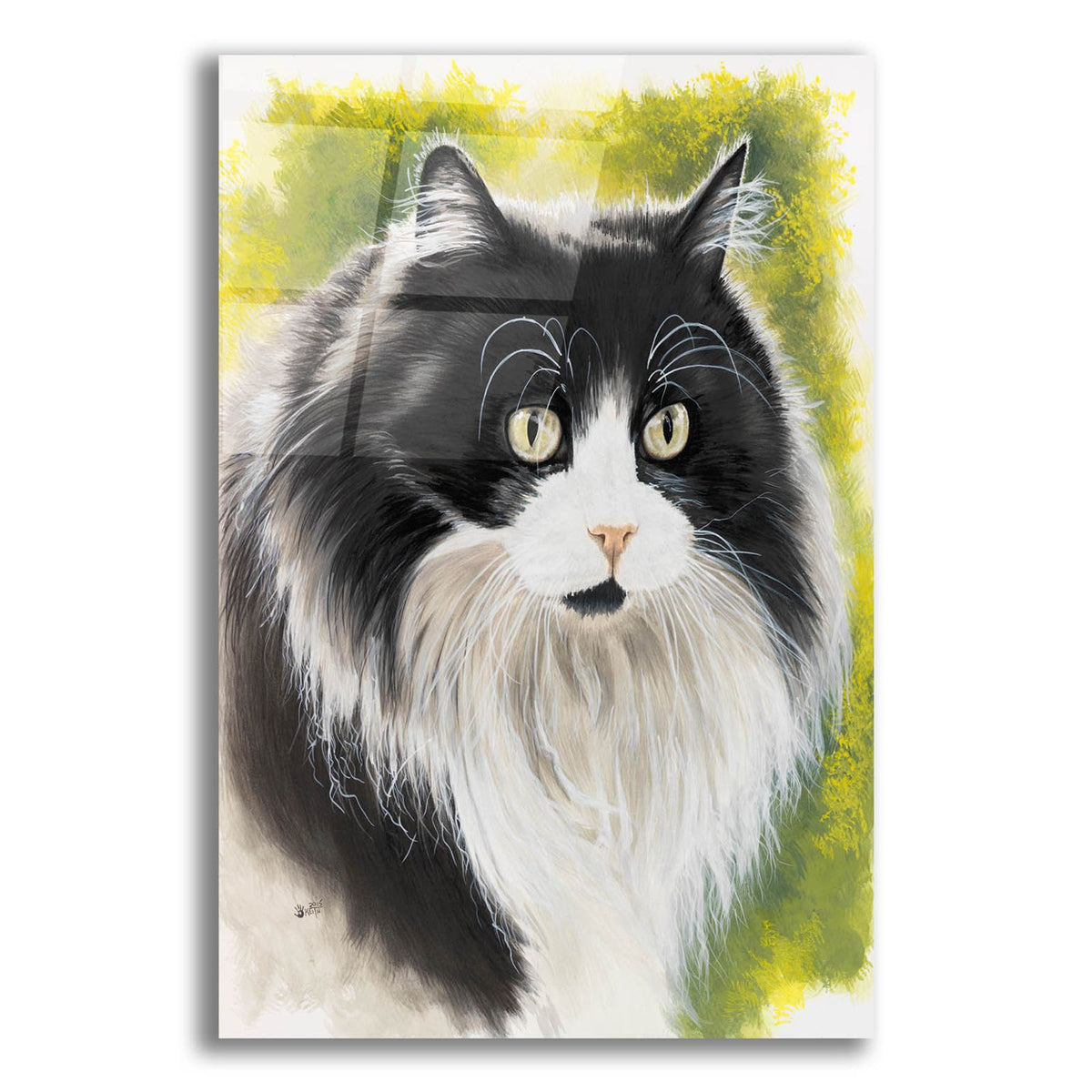 Maine Coon 2 by Barbara Keith acrylic glass wall art
