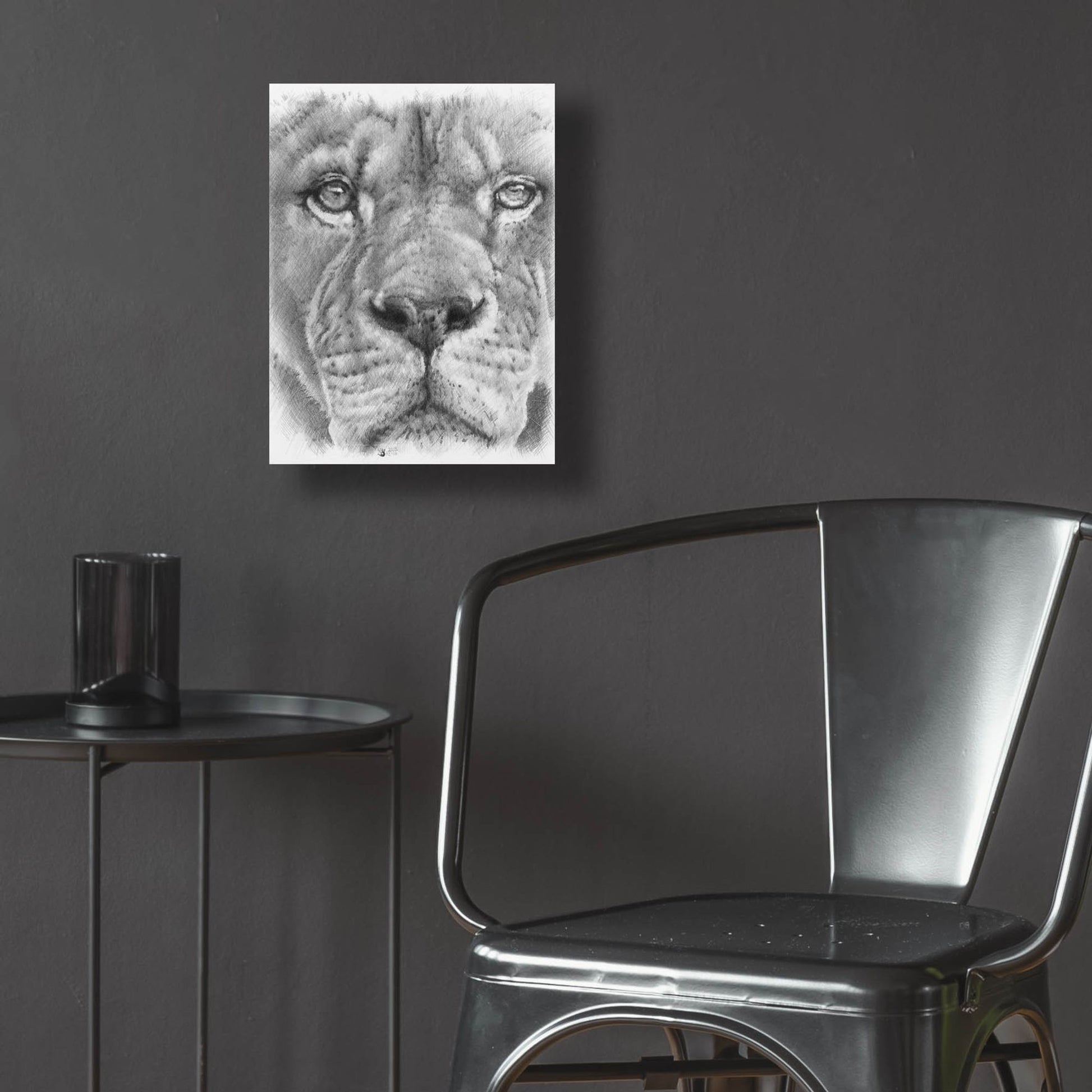 Epic Art 'Up Close Lion' by Barbara Keith, Acrylic Glass Wall Art,12x16