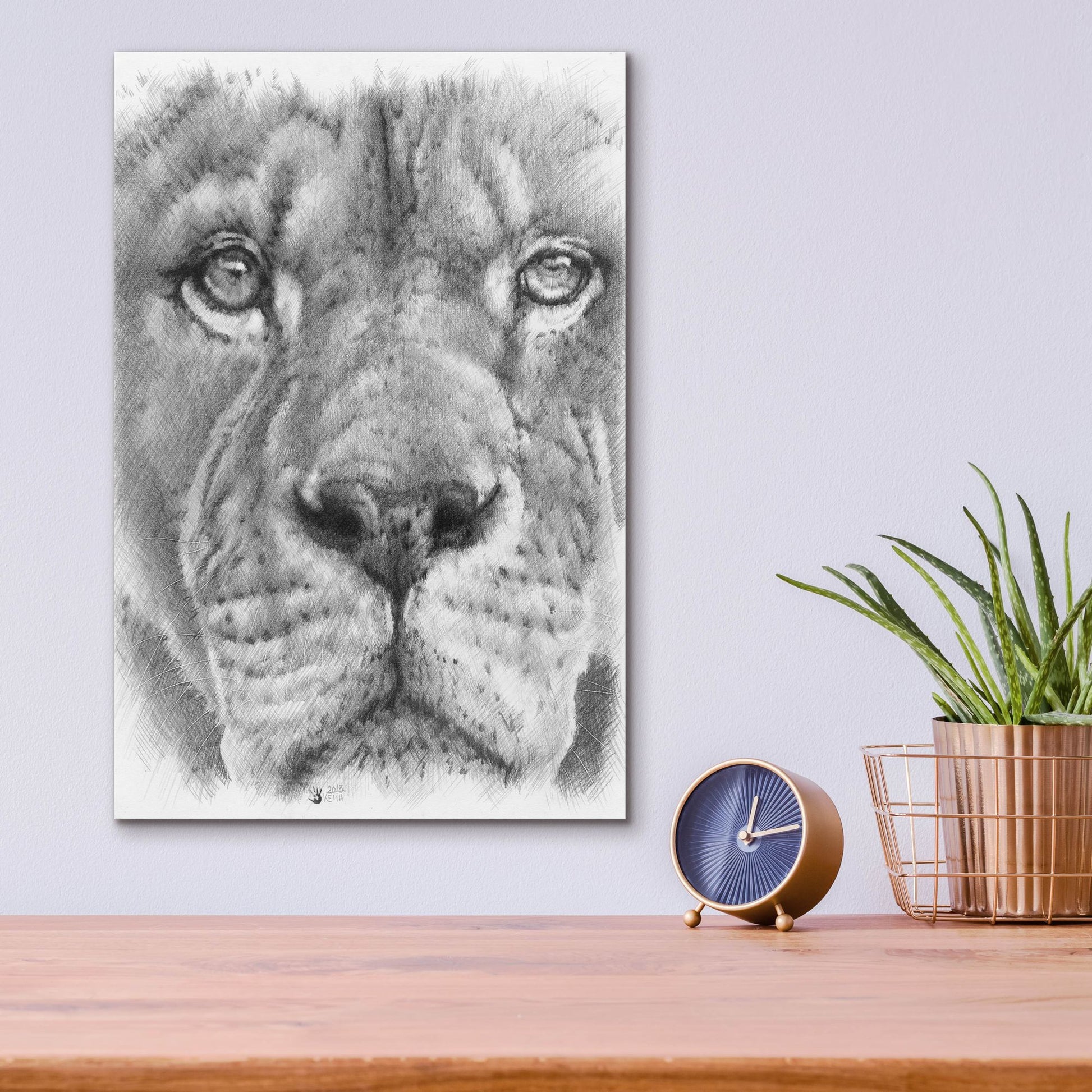 Epic Art 'Up Close Lion' by Barbara Keith, Acrylic Glass Wall Art,12x16