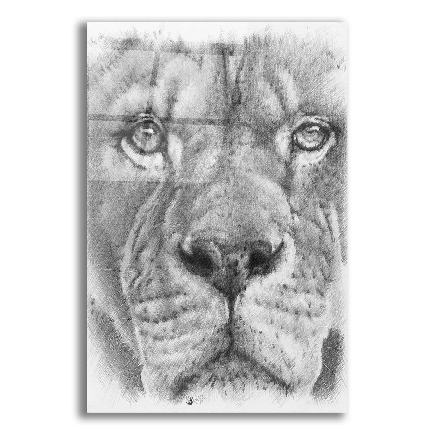 Epic Art 'Up Close Lion' by Barbara Keith, Acrylic Glass Wall Art,12x16