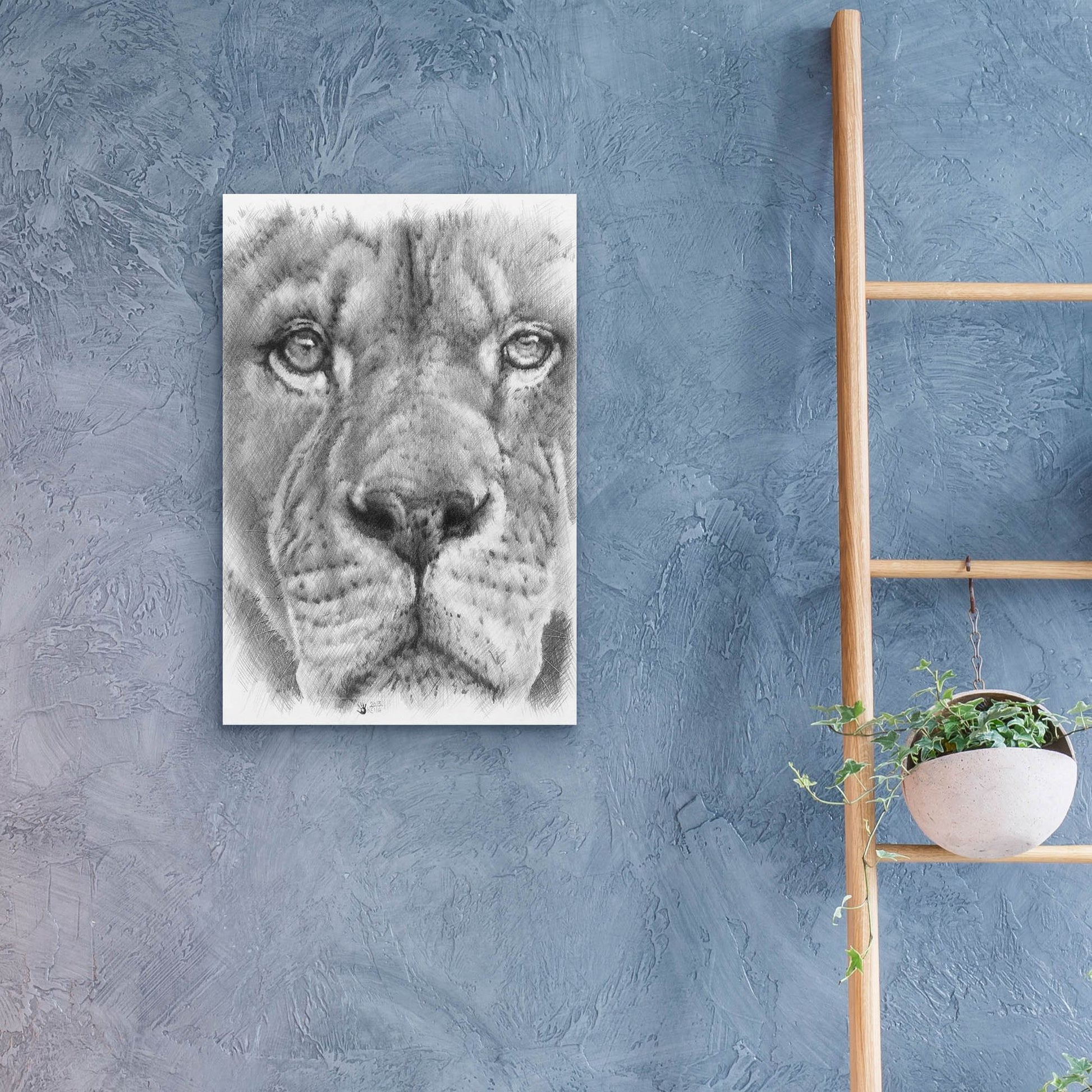 Epic Art 'Up Close Lion' by Barbara Keith, Acrylic Glass Wall Art,16x24