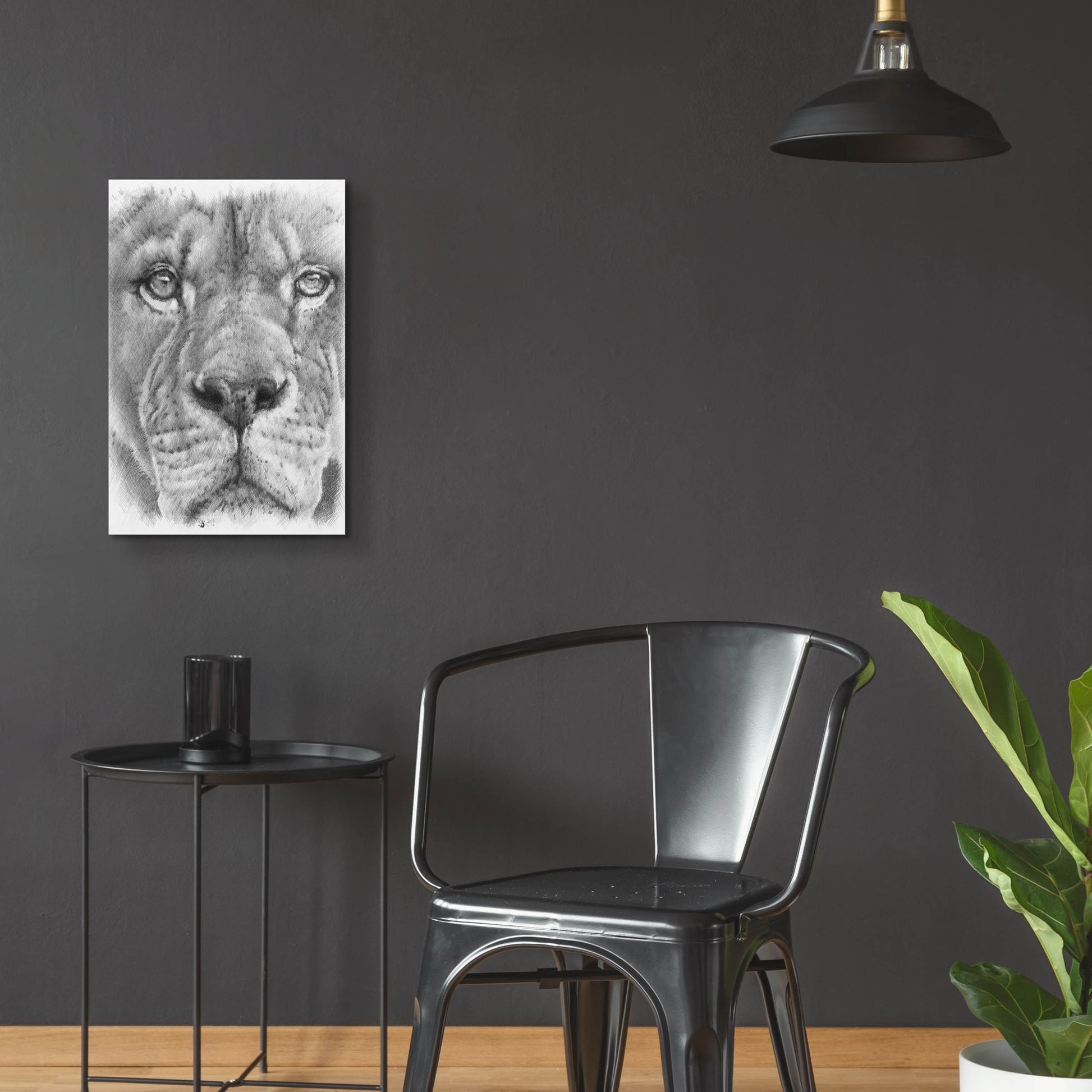 Epic Art 'Up Close Lion' by Barbara Keith, Acrylic Glass Wall Art,16x24