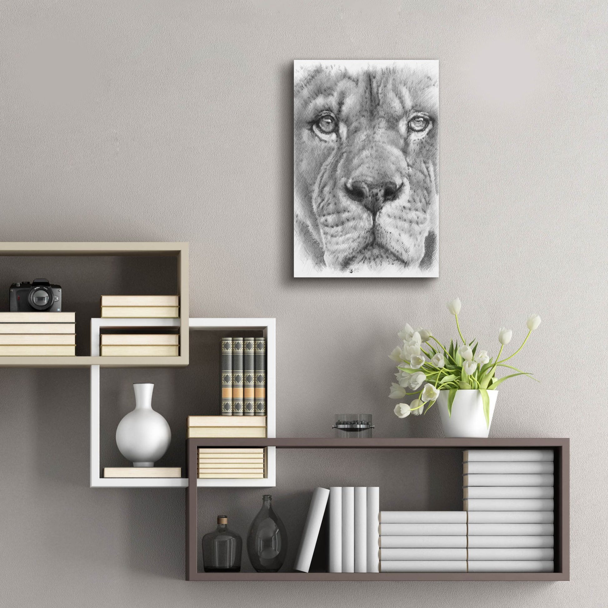 Epic Art 'Up Close Lion' by Barbara Keith, Acrylic Glass Wall Art,16x24