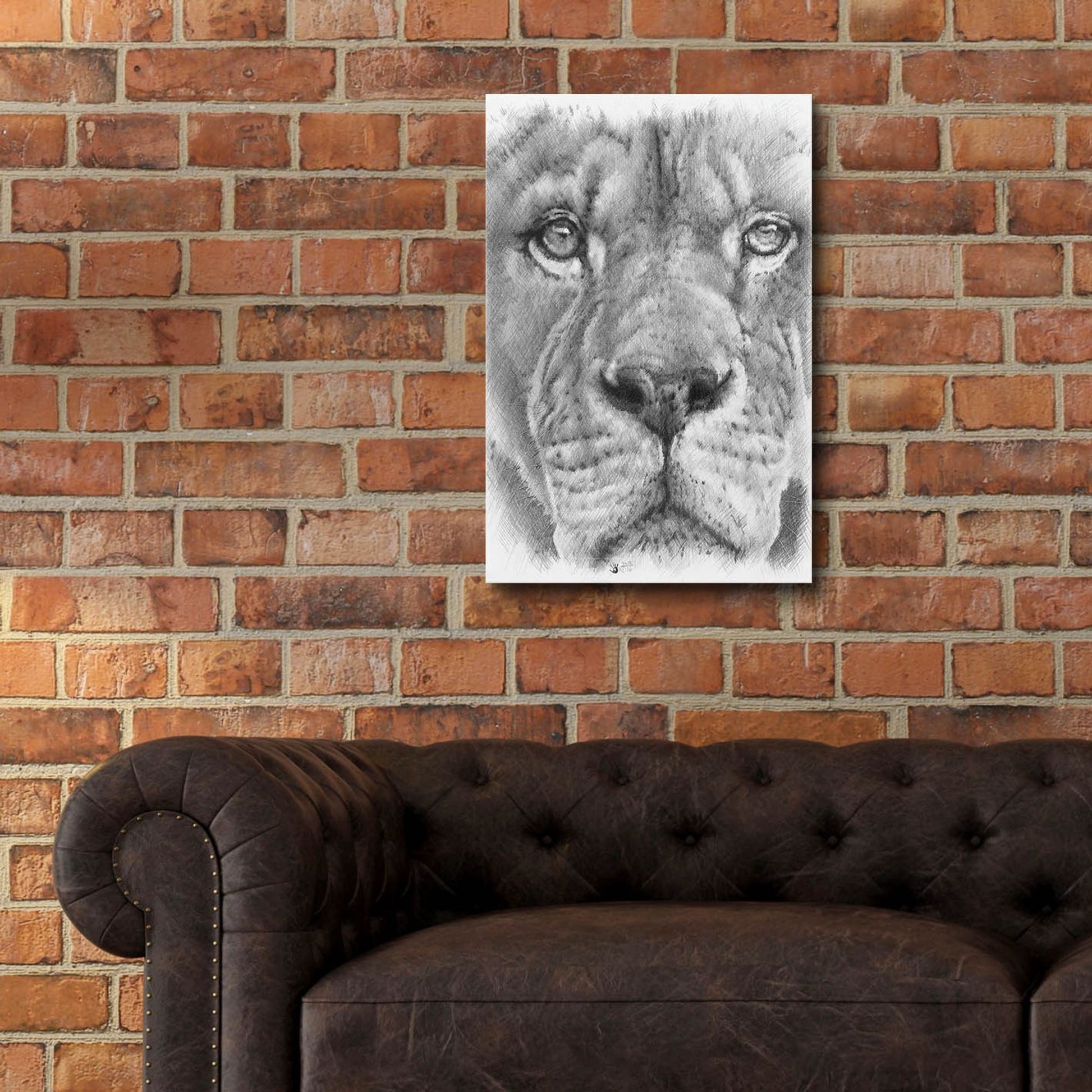 Epic Art 'Up Close Lion' by Barbara Keith, Acrylic Glass Wall Art,16x24