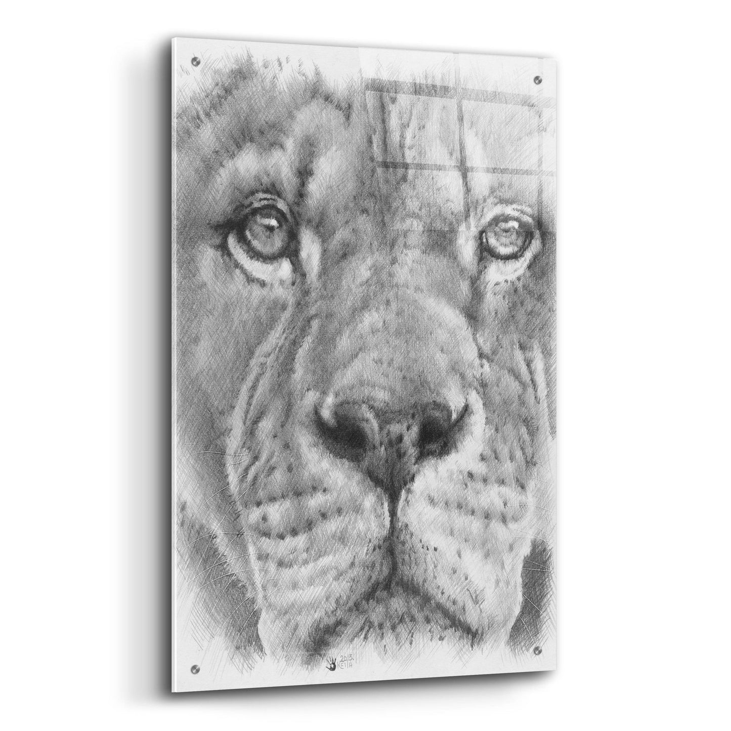 Epic Art 'Up Close Lion' by Barbara Keith, Acrylic Glass Wall Art,24x36