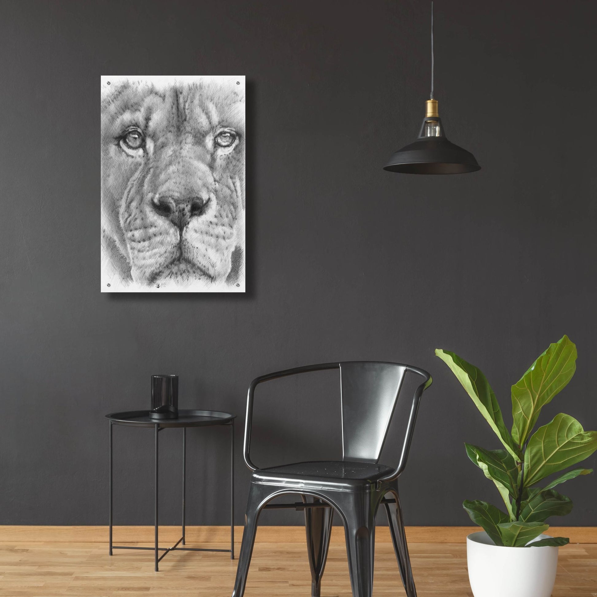 Epic Art 'Up Close Lion' by Barbara Keith, Acrylic Glass Wall Art,24x36