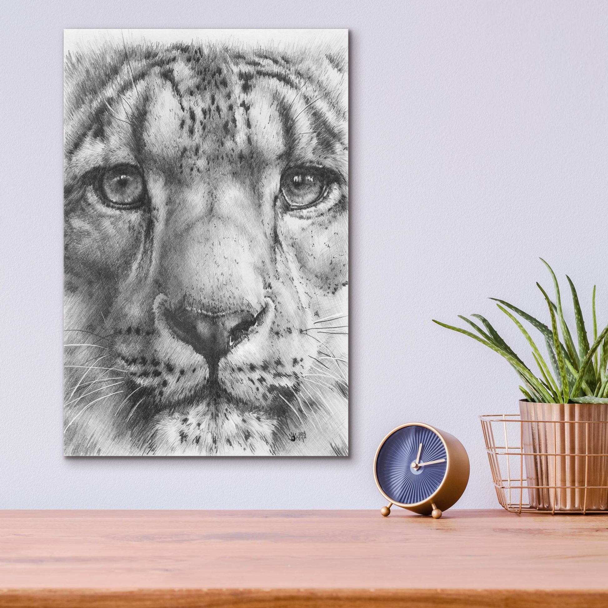 Epic Art 'Up Close Snow Leopard' by Barbara Keith, Acrylic Glass Wall Art,12x16