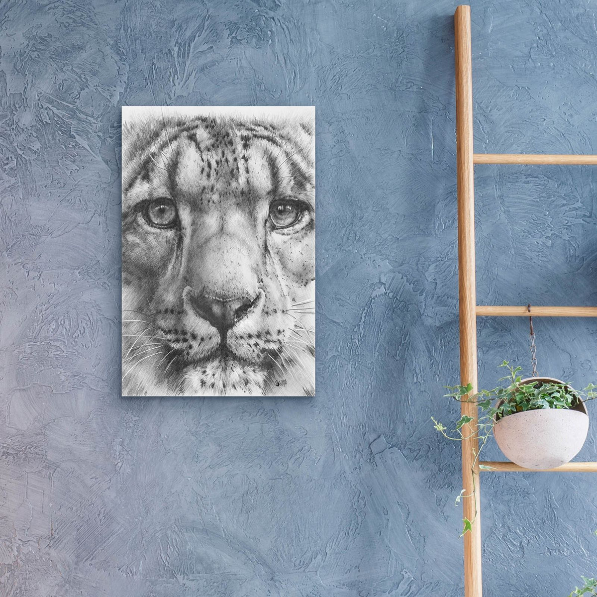 Up Close Snow Leopard by Barbara Keith - 16x24 acrylic wall art in a room