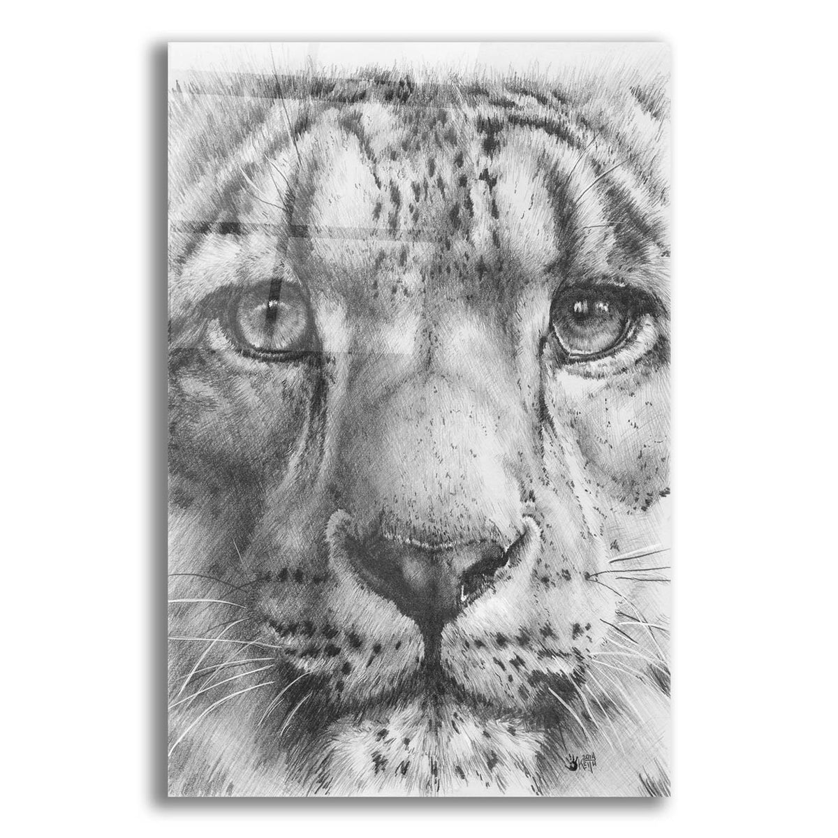 Up Close Snow Leopard by Barbara Keith acrylic glass wall art