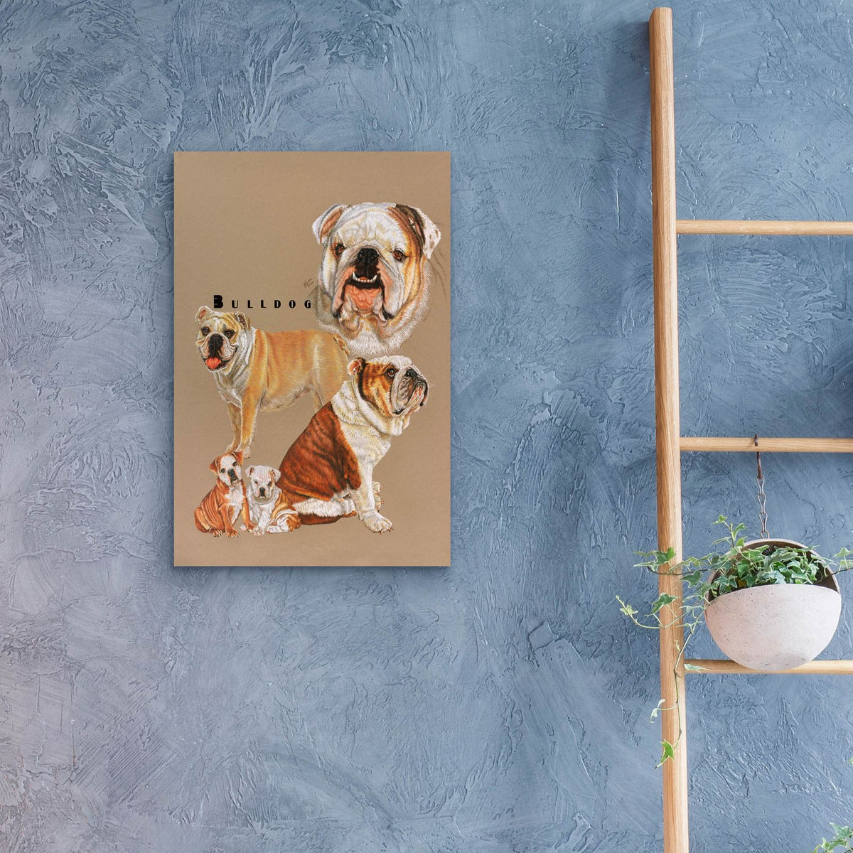 Bulldog by Barbara Keith - 16x24 acrylic wall art in a room