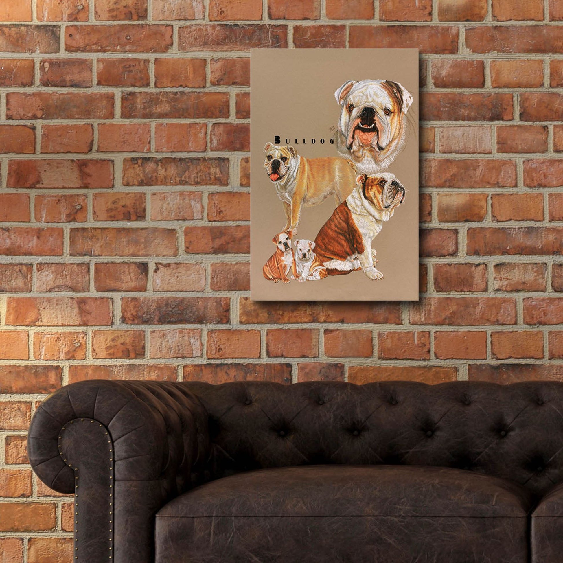 Epic Art 'Bulldog' by Barbara Keith, Acrylic Glass Wall Art,16x24