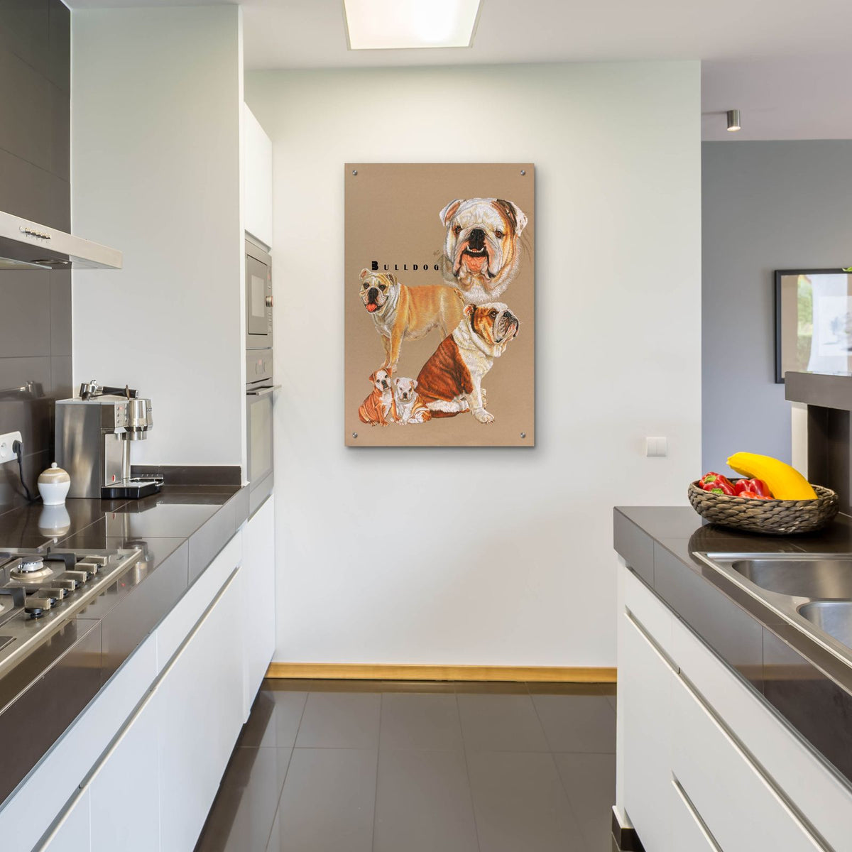Bulldog by Barbara Keith - 24x36 acrylic wall art in a room