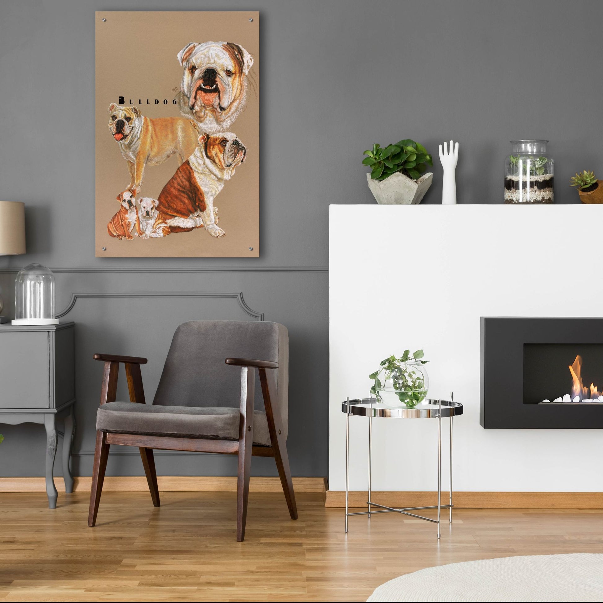 Epic Art 'Bulldog' by Barbara Keith, Acrylic Glass Wall Art,24x36