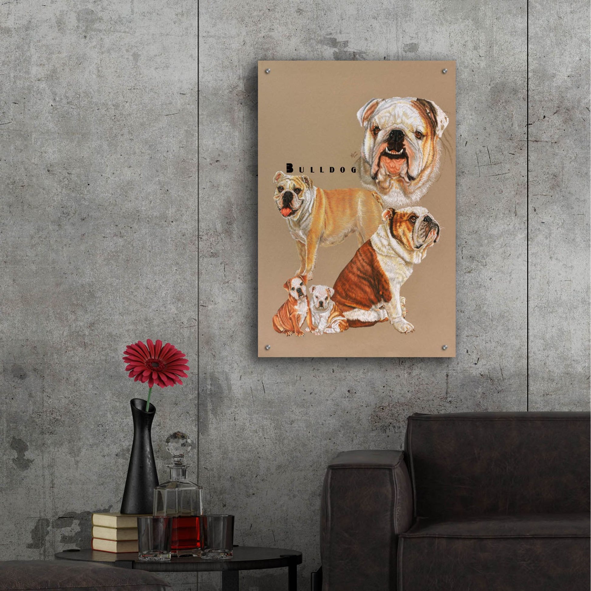 Epic Art 'Bulldog' by Barbara Keith, Acrylic Glass Wall Art,24x36