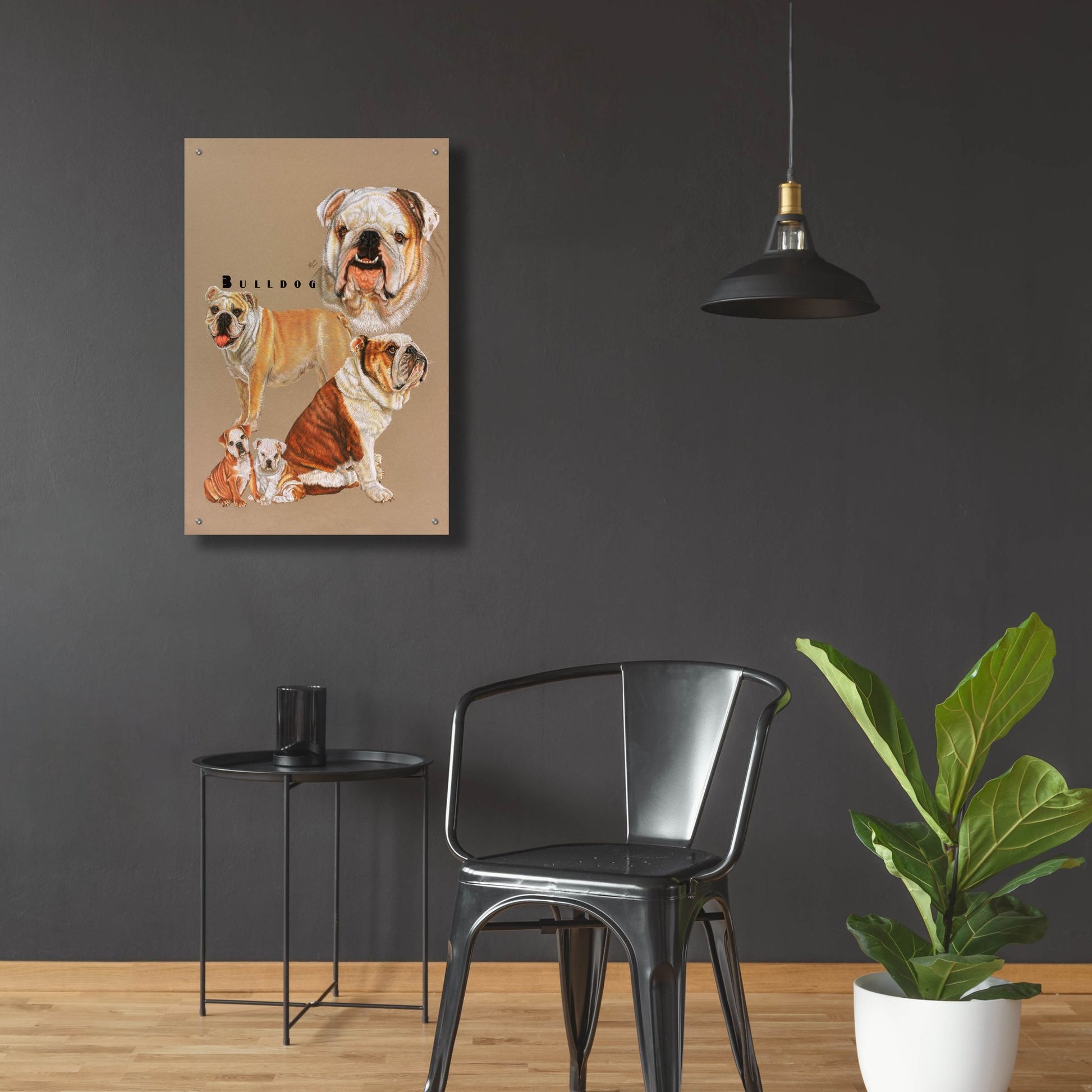 Epic Art 'Bulldog' by Barbara Keith, Acrylic Glass Wall Art,24x36