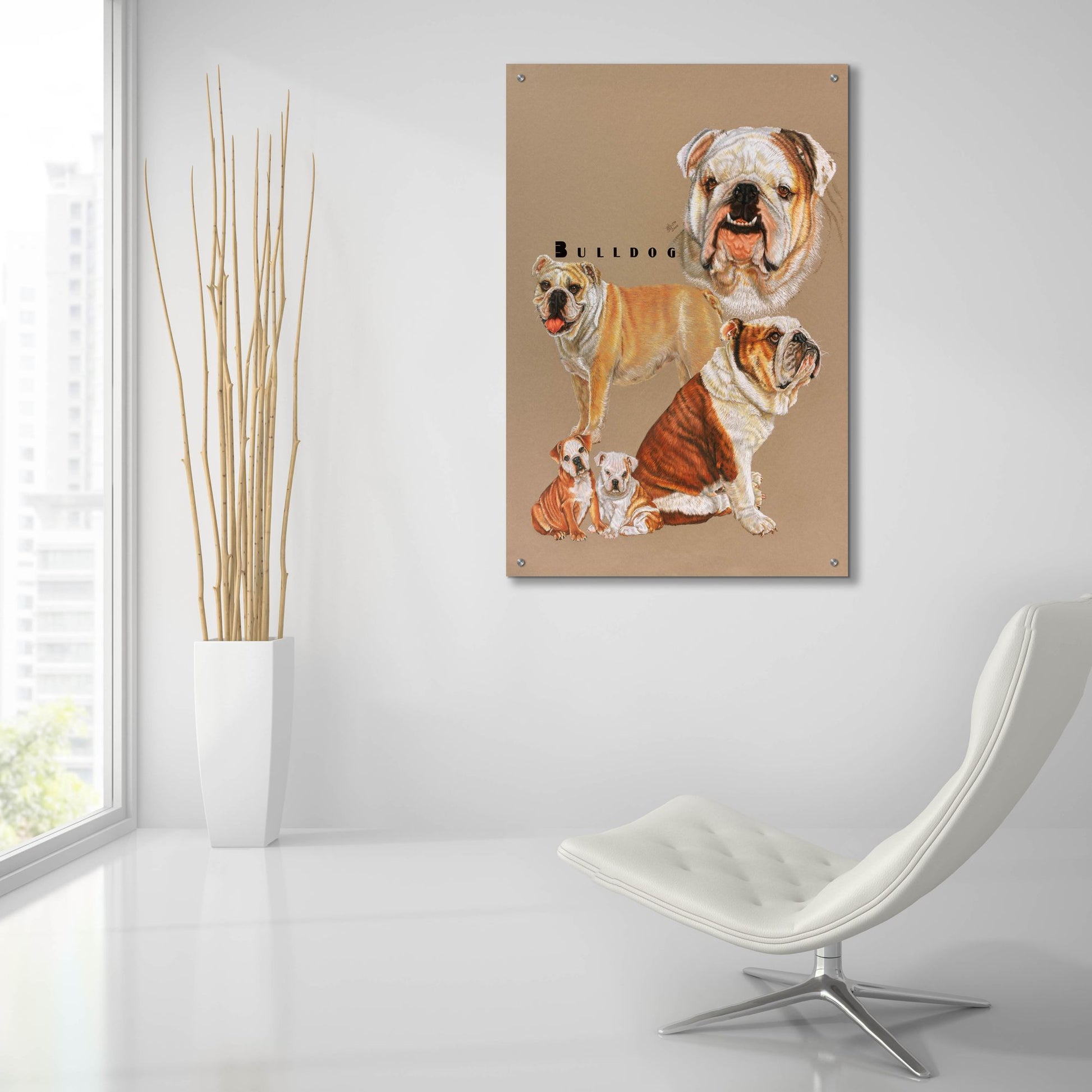 Epic Art 'Bulldog' by Barbara Keith, Acrylic Glass Wall Art,24x36