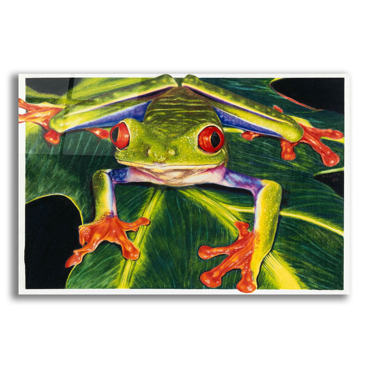 Rainbow Splendor by Barbara Keith acrylic glass wall art