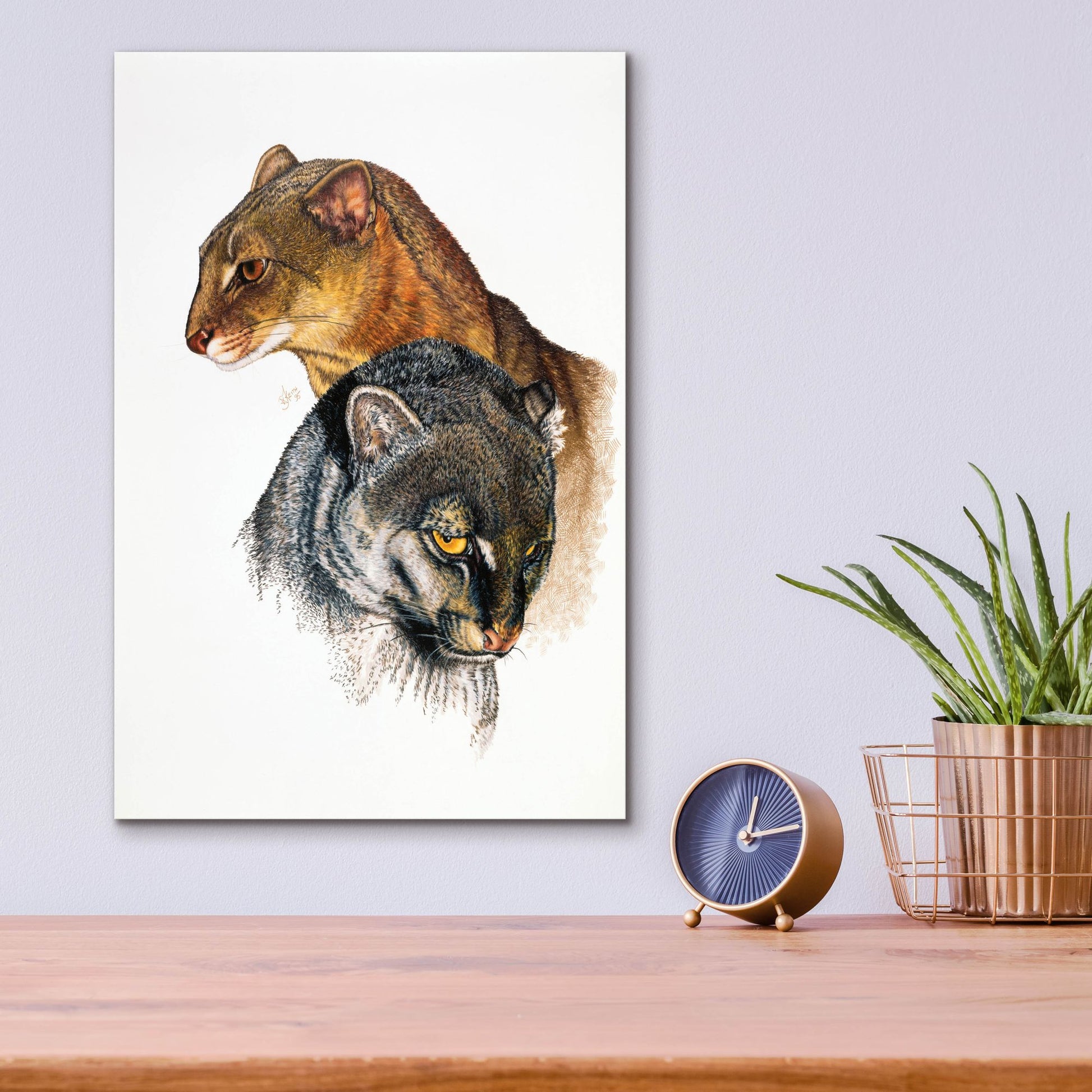 Epic Art 'Jaguarundi' by Barbara Keith, Acrylic Glass Wall Art,12x16