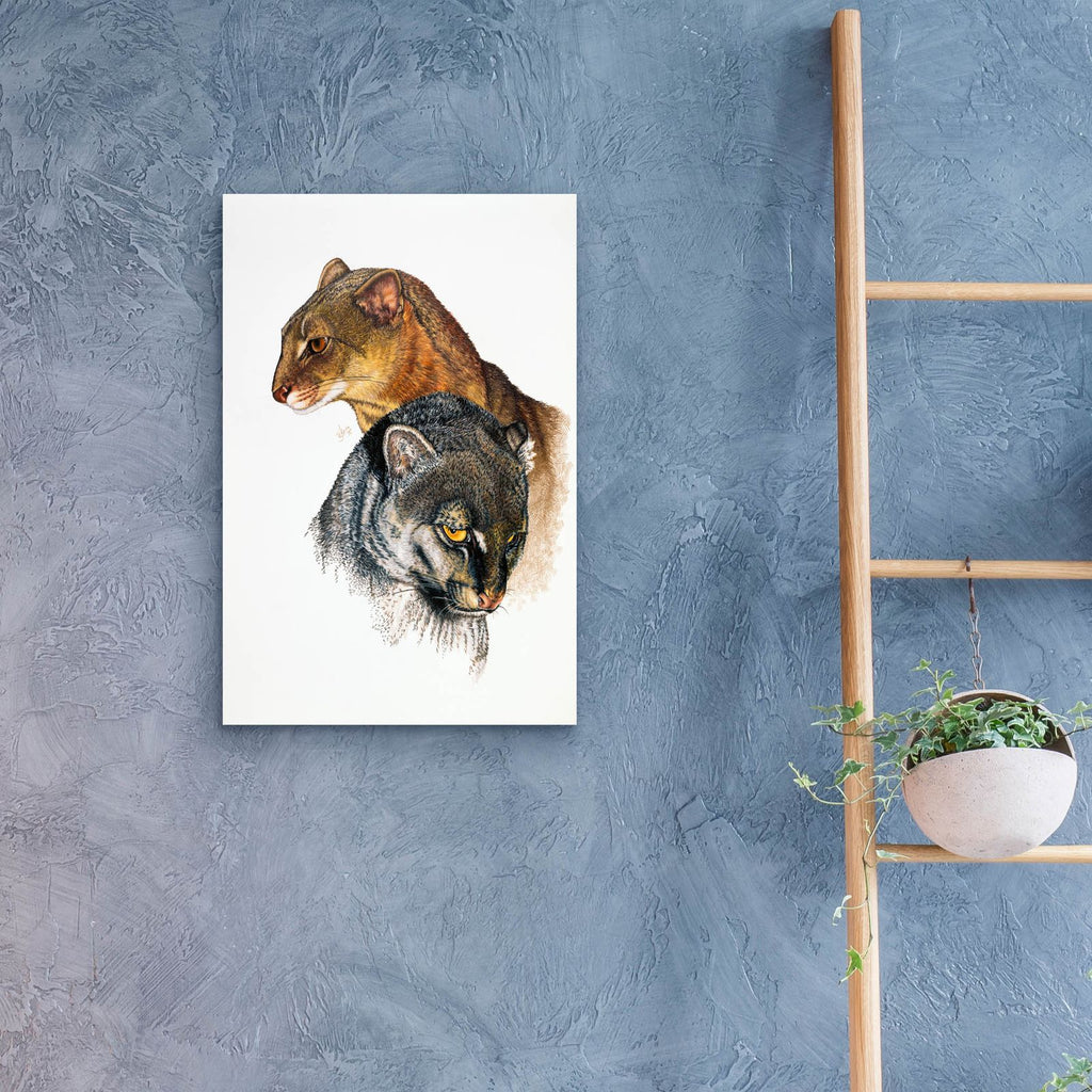Jaguarundi by Barbara Keith - 16x24 acrylic wall art in a room