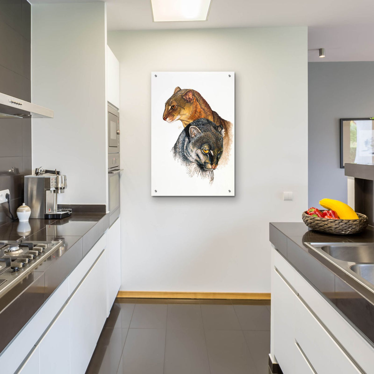 Jaguarundi by Barbara Keith - 24x36 acrylic wall art in a room