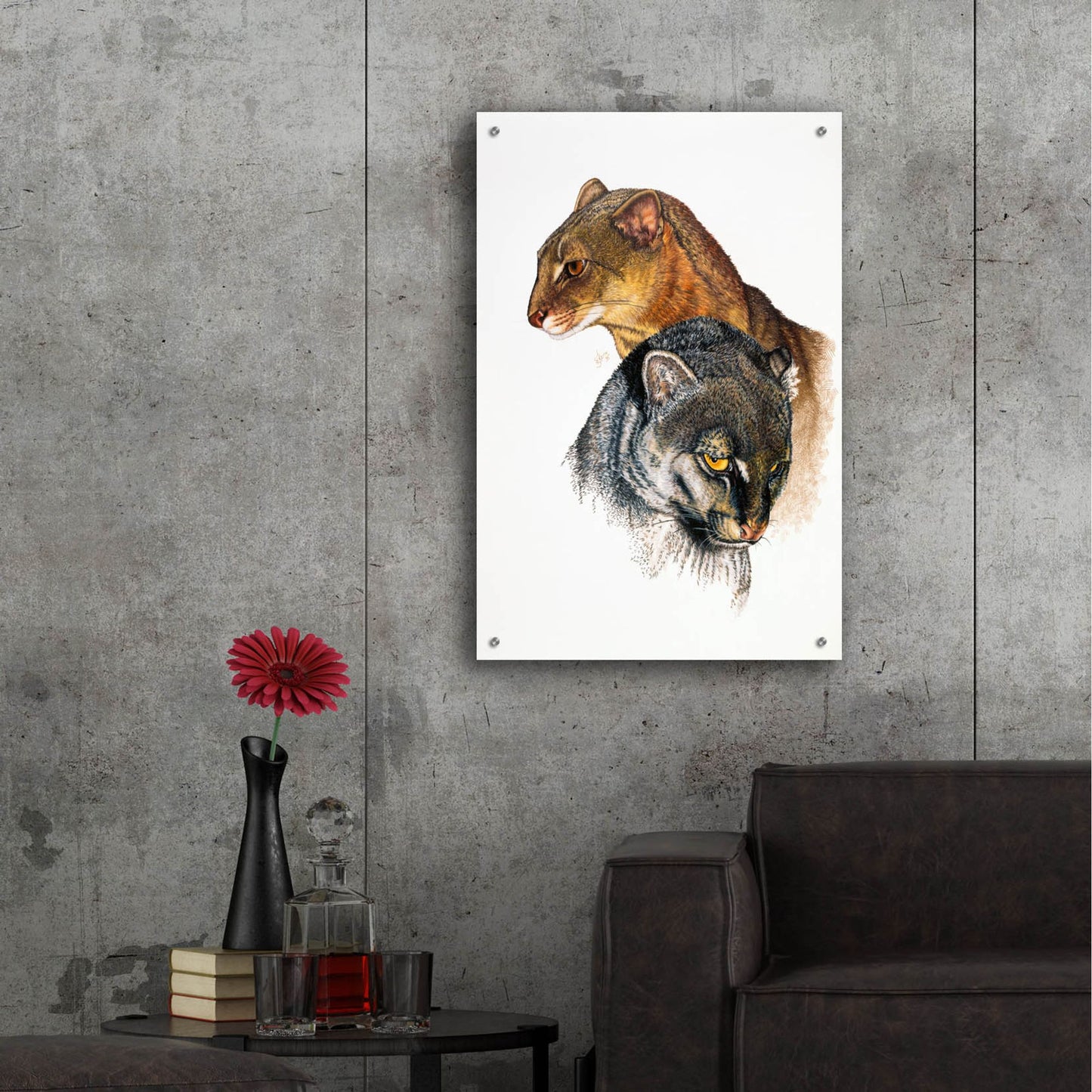 Epic Art 'Jaguarundi' by Barbara Keith, Acrylic Glass Wall Art,24x36