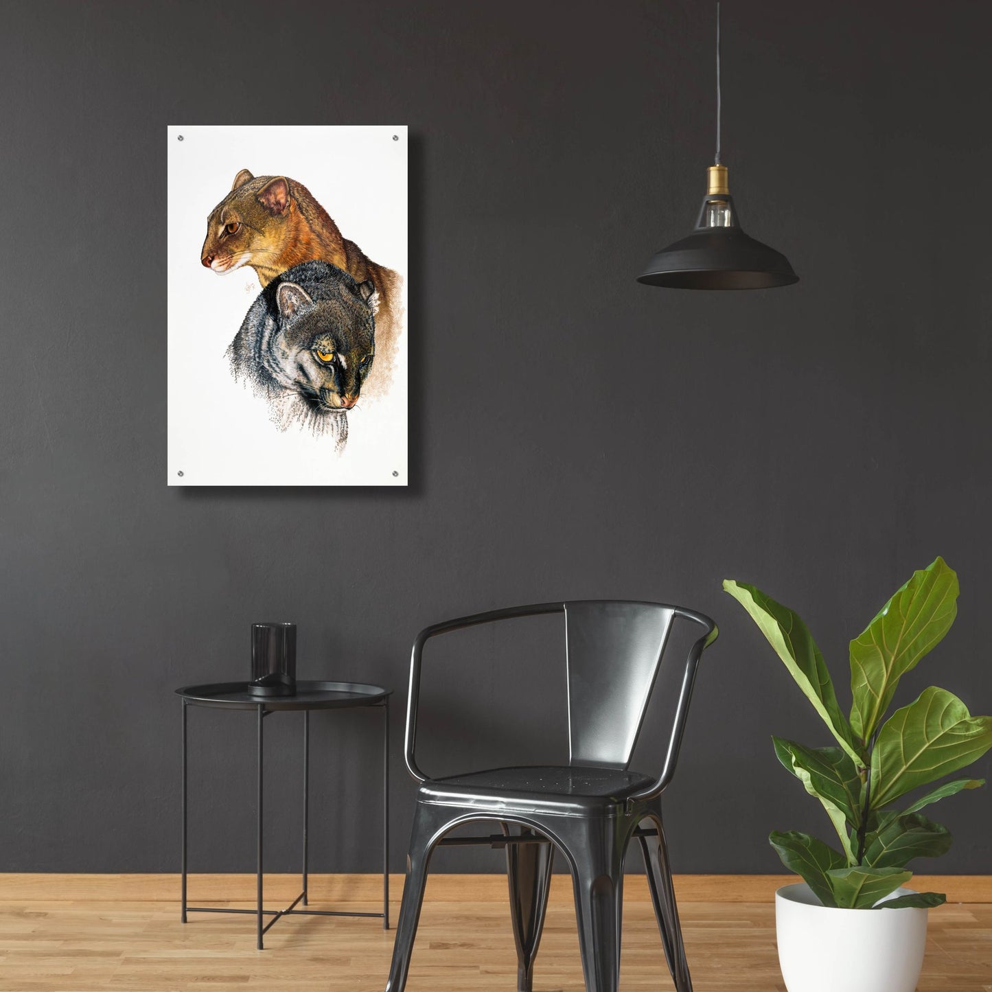 Epic Art 'Jaguarundi' by Barbara Keith, Acrylic Glass Wall Art,24x36