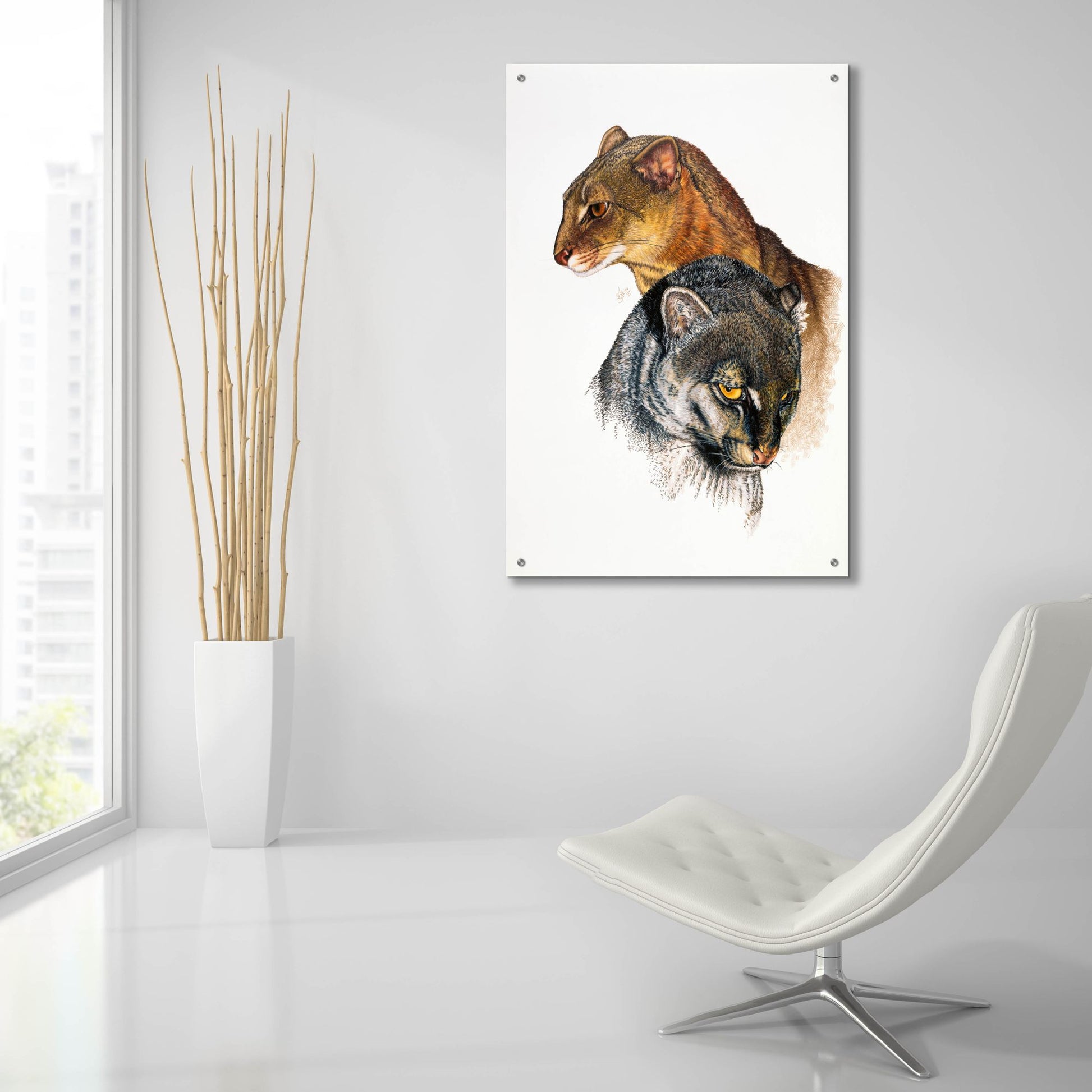 Epic Art 'Jaguarundi' by Barbara Keith, Acrylic Glass Wall Art,24x36