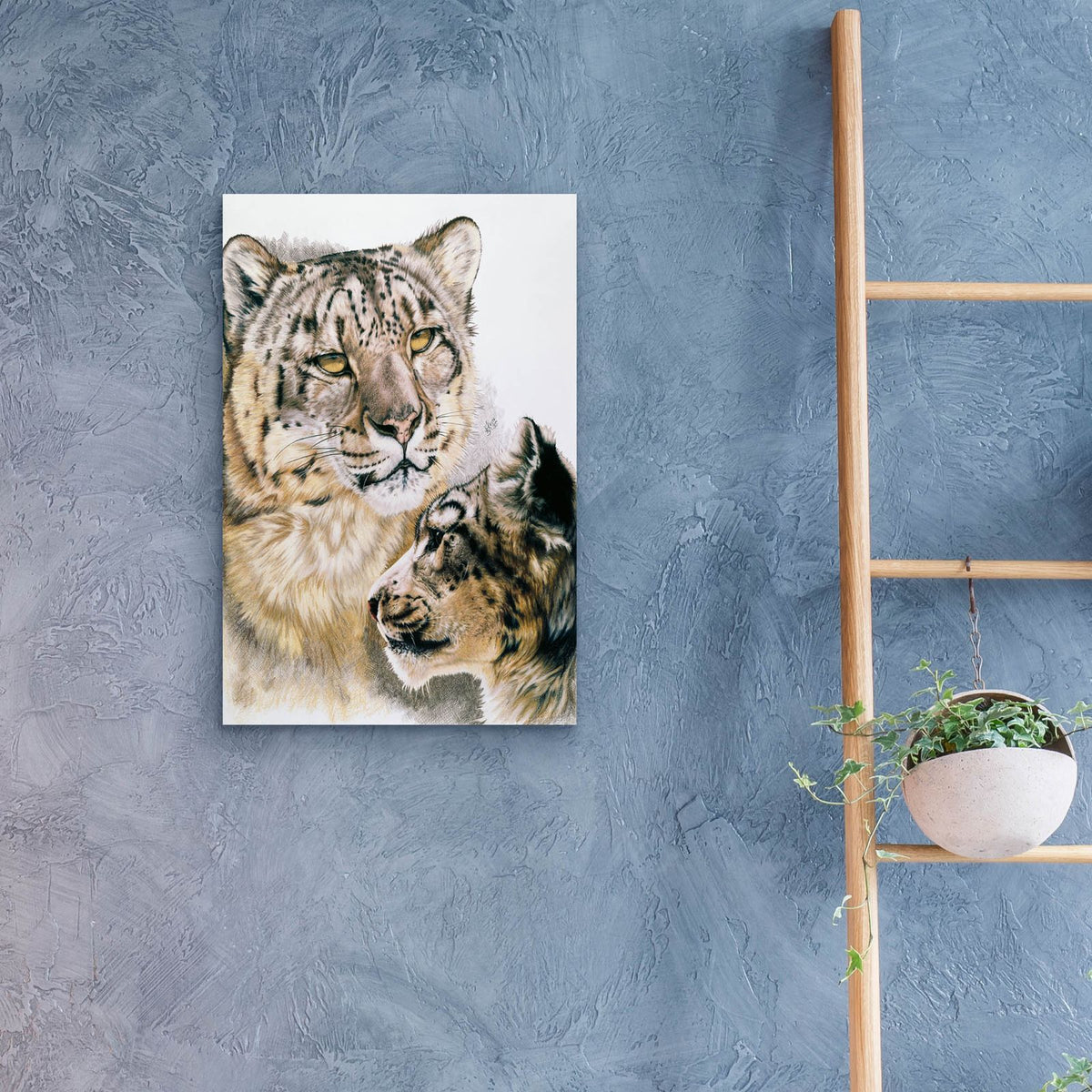 Panthera Uncia by Barbara Keith - 16x24 acrylic wall art in a room
