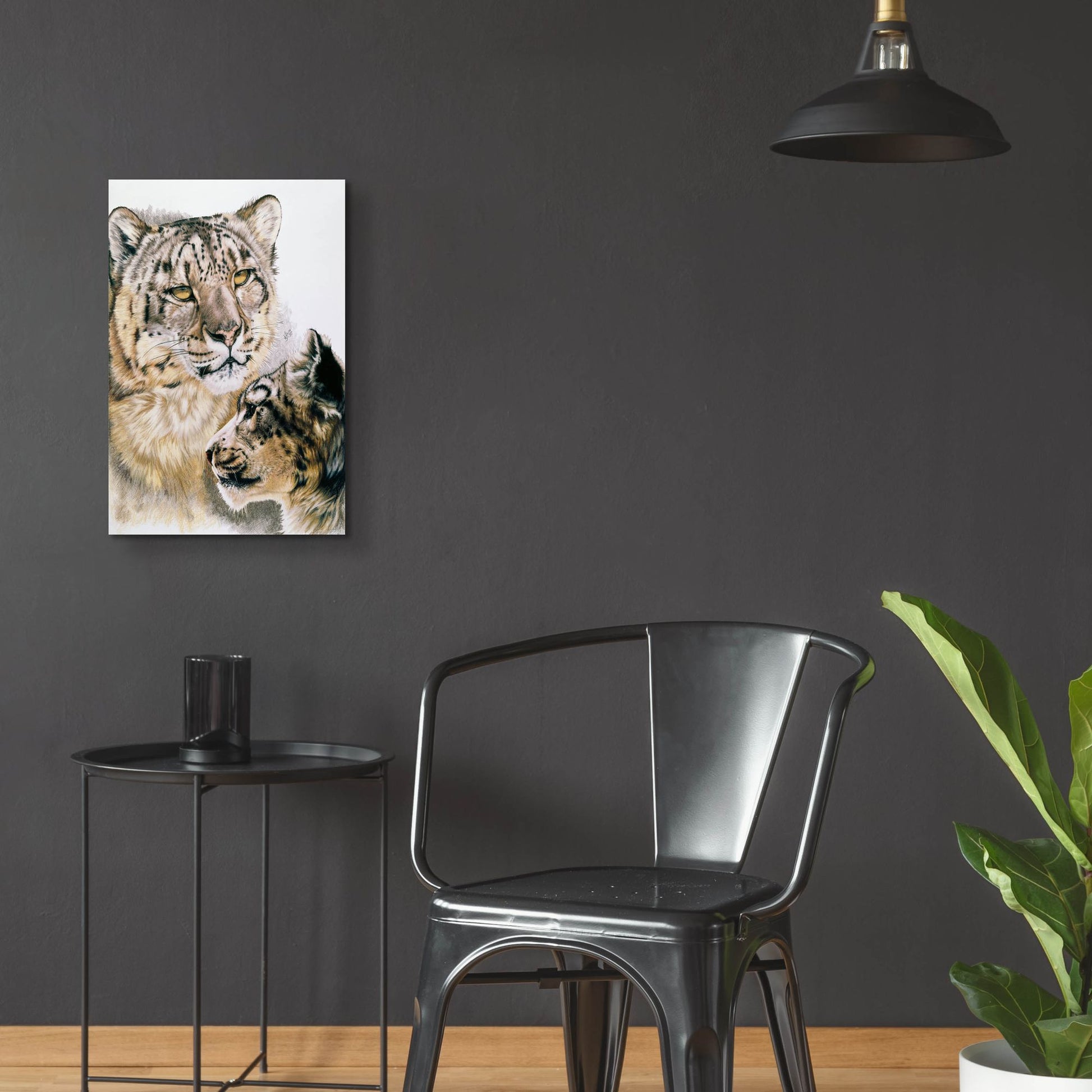 Epic Art 'Panthera Uncia' by Barbara Keith, Acrylic Glass Wall Art,16x24