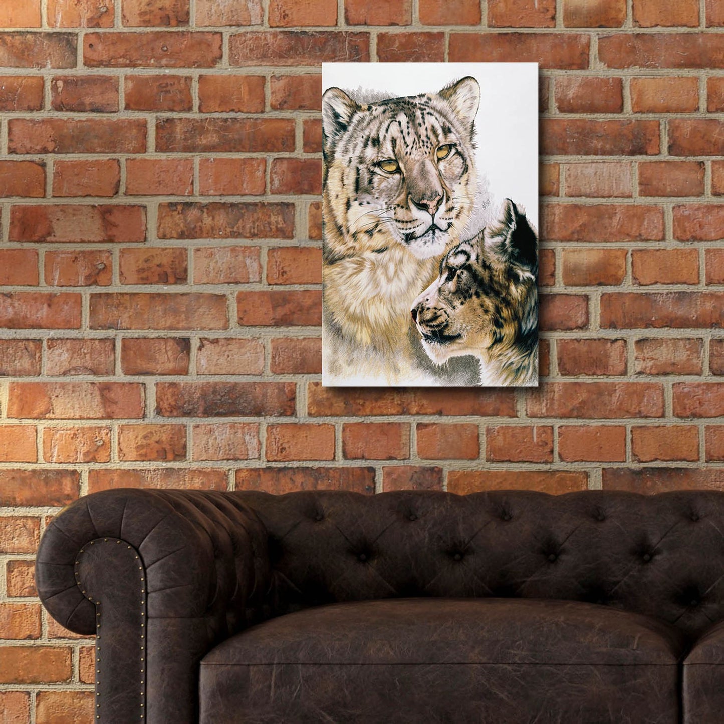 Epic Art 'Panthera Uncia' by Barbara Keith, Acrylic Glass Wall Art,16x24